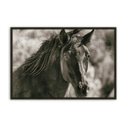 [Color:Satin Black], Picture of art in a Satin Black frame