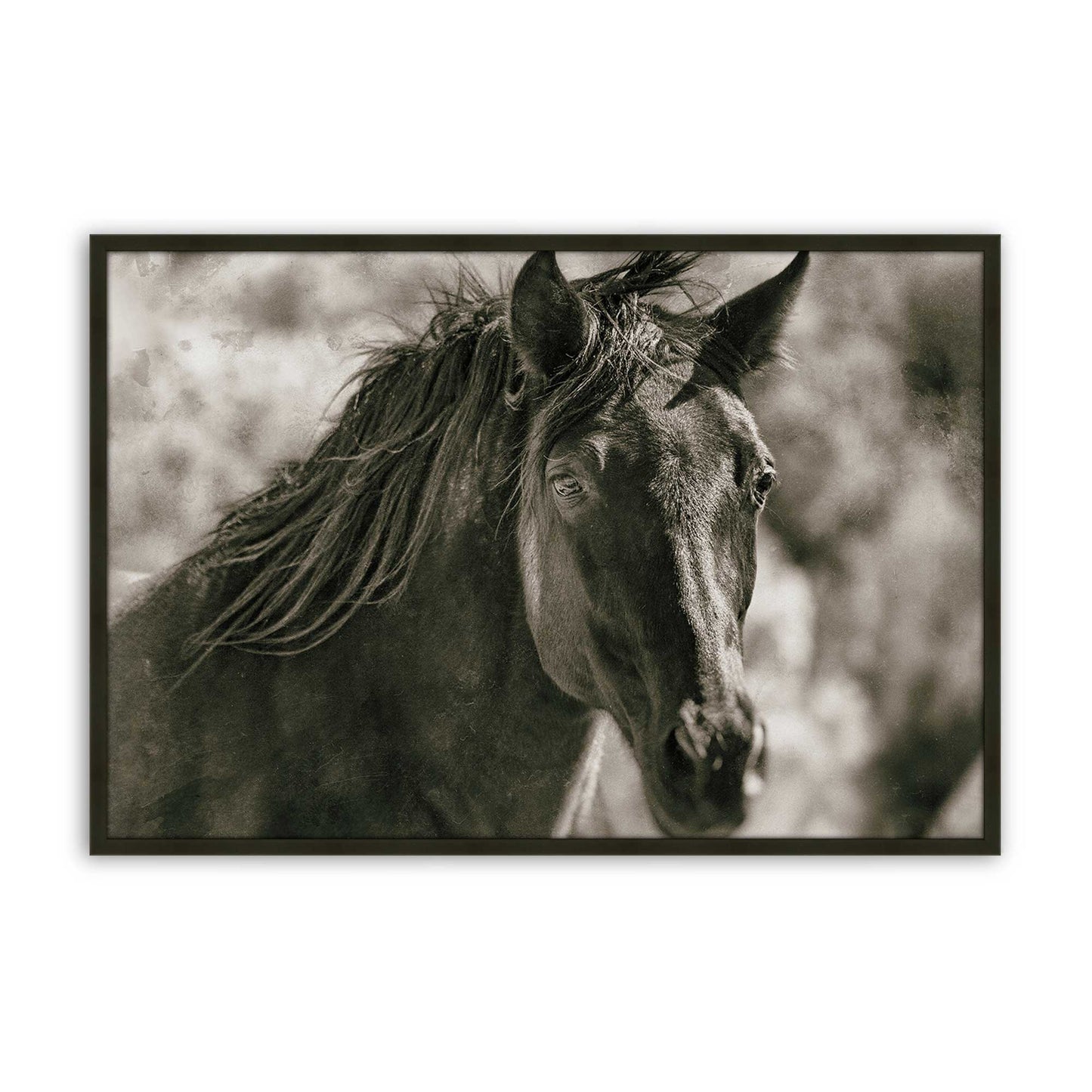 [Color:Satin Black], Front of the art