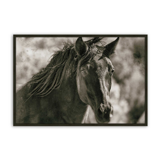 [Color:Satin Black], Front of the art