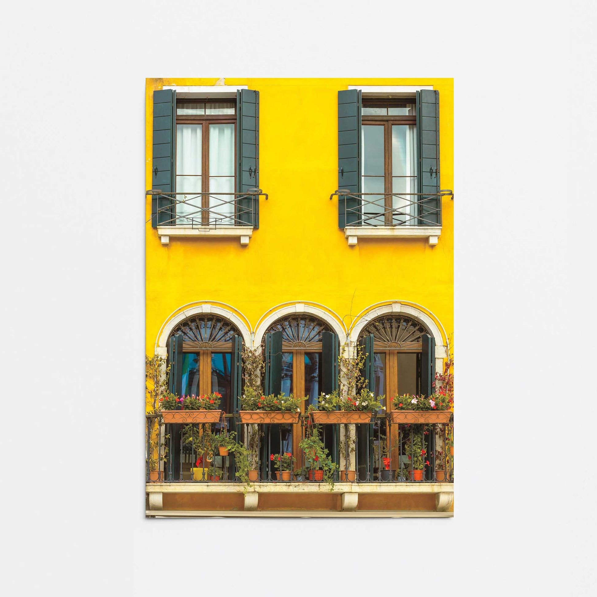 [Color:Rolled Print], Picture of close up of art