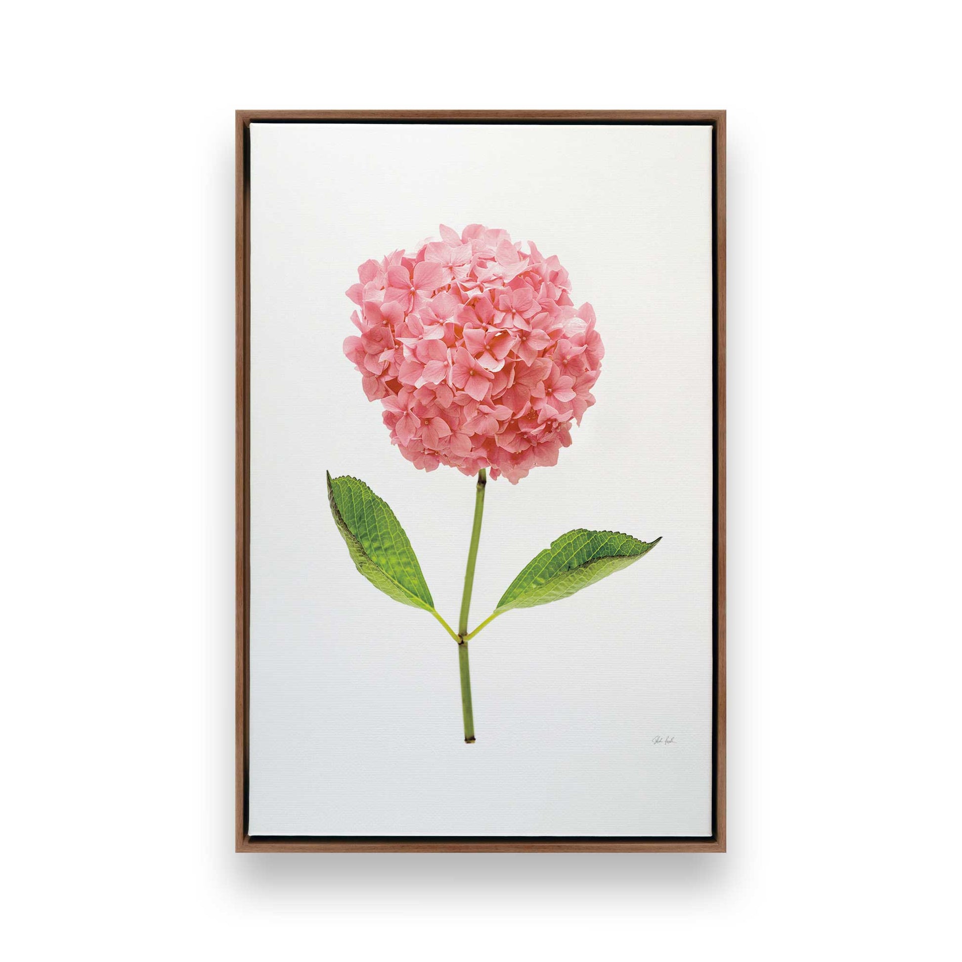 [Color:Walnut], Picture of art in a Walnut frame