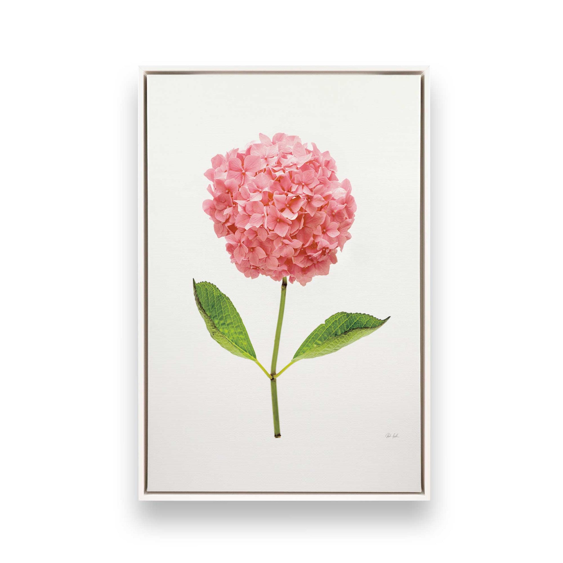 [Color:Opaque White], Picture of art in a White frame
