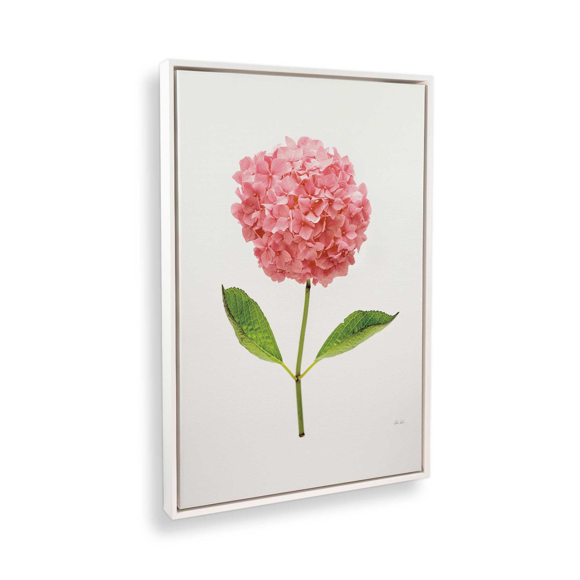[Color:Opaque White], Picture of the corner of the art