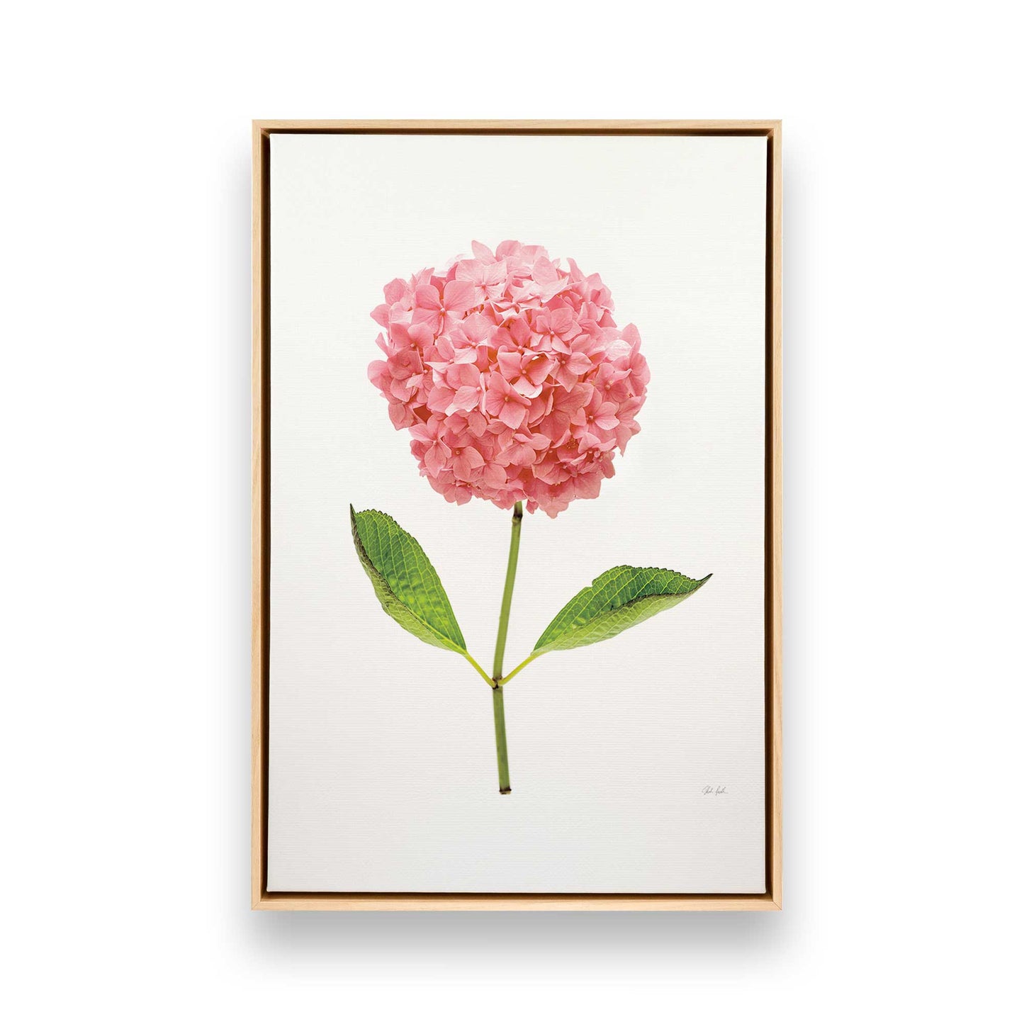 [Color:American Maple], Picture of art in a American Maple frame