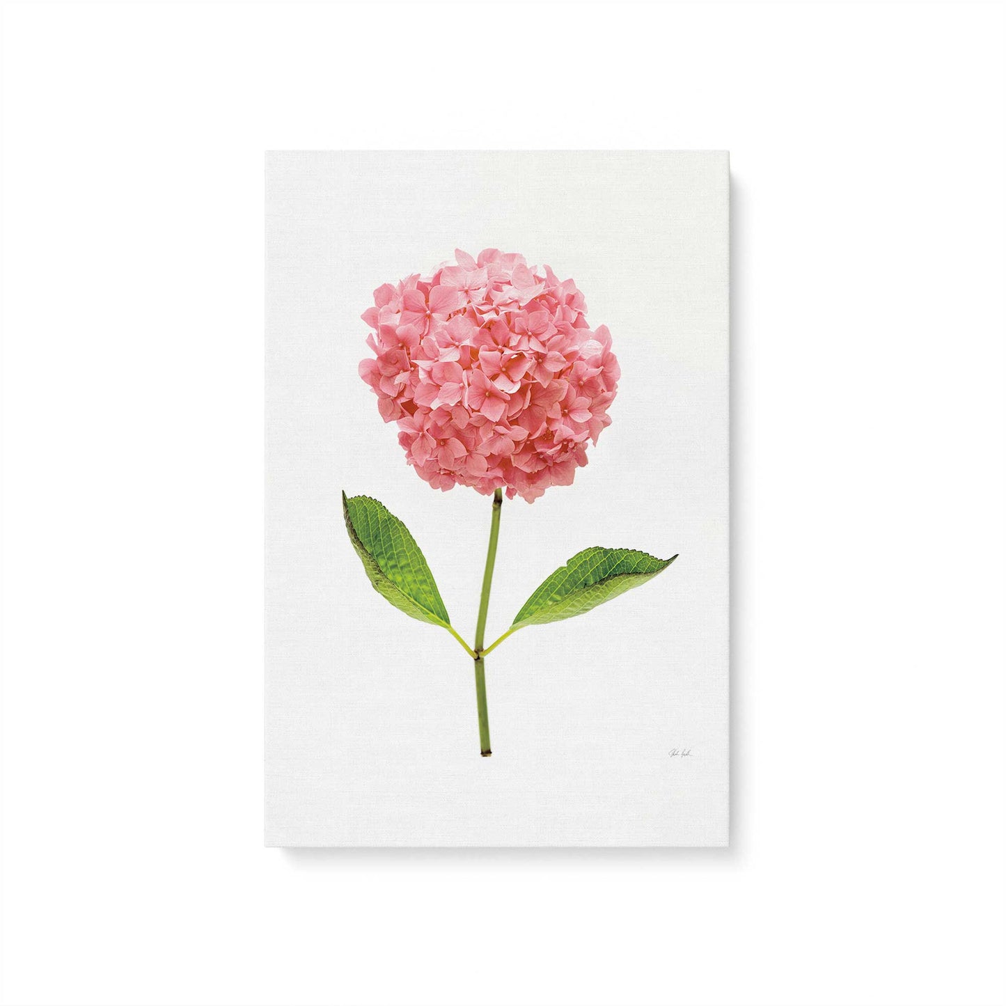 [Color:Stretched Canvas], Picture of art