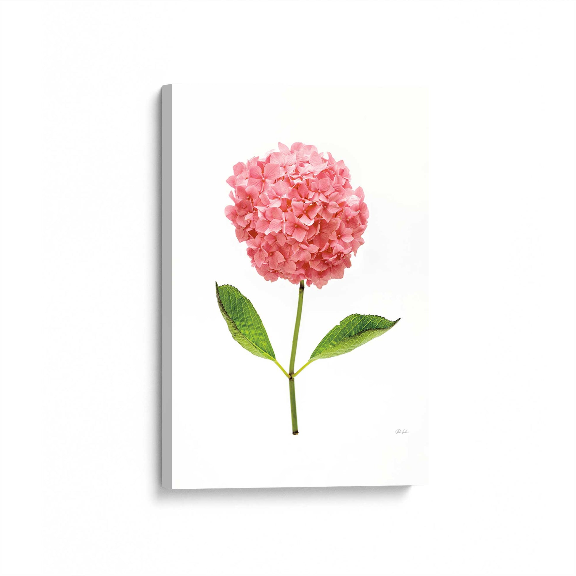 [Color:Stretched Canvas], Picture of art at an angle