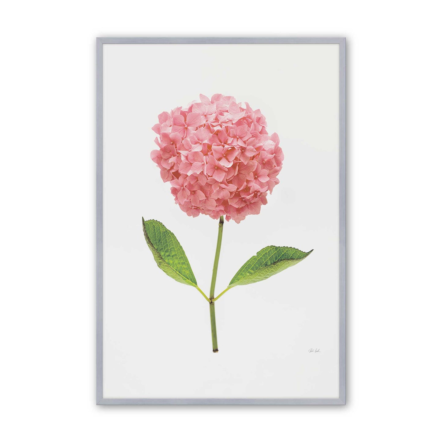 [Color:Polished Chrome], Picture of art in a Polished Chrome frame