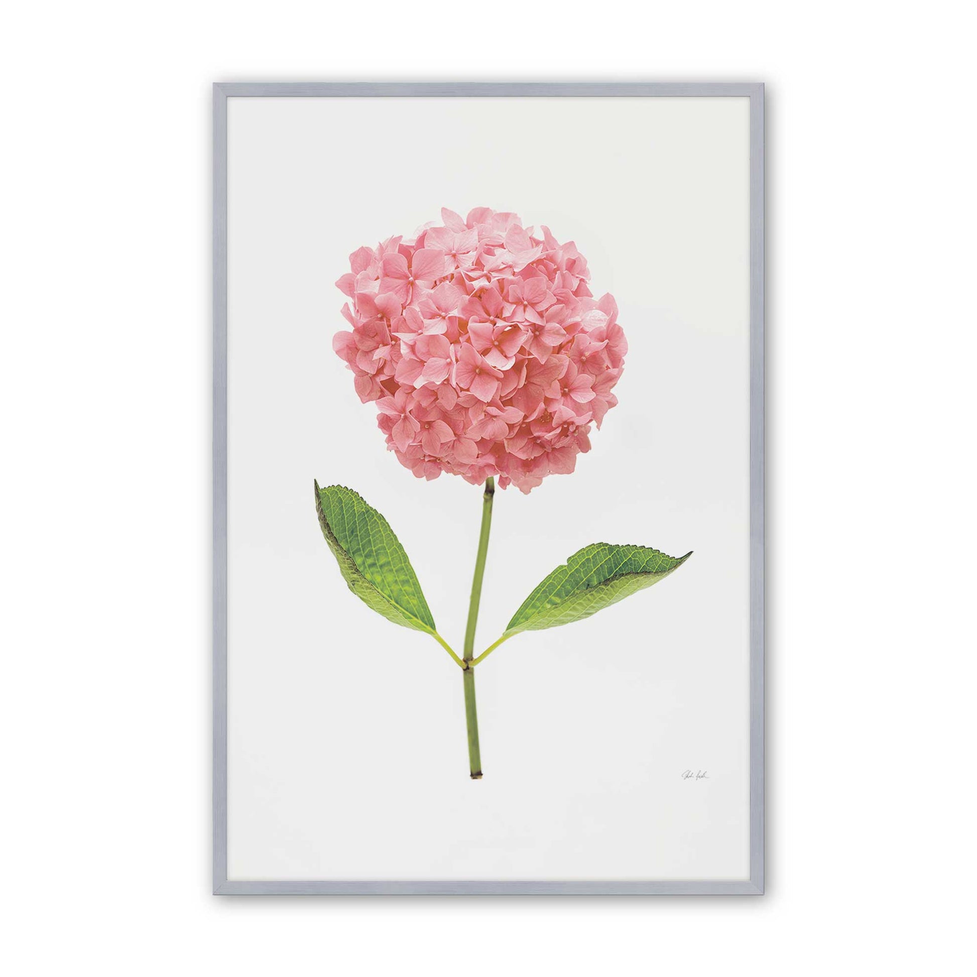 [Color:Polished Chrome], Picture of art in a Polished Chrome frame