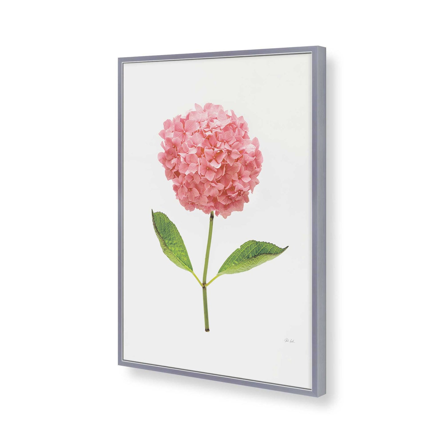 [Color:Polished Chrome], Picture of art in a Polished Chrome frame of the corner