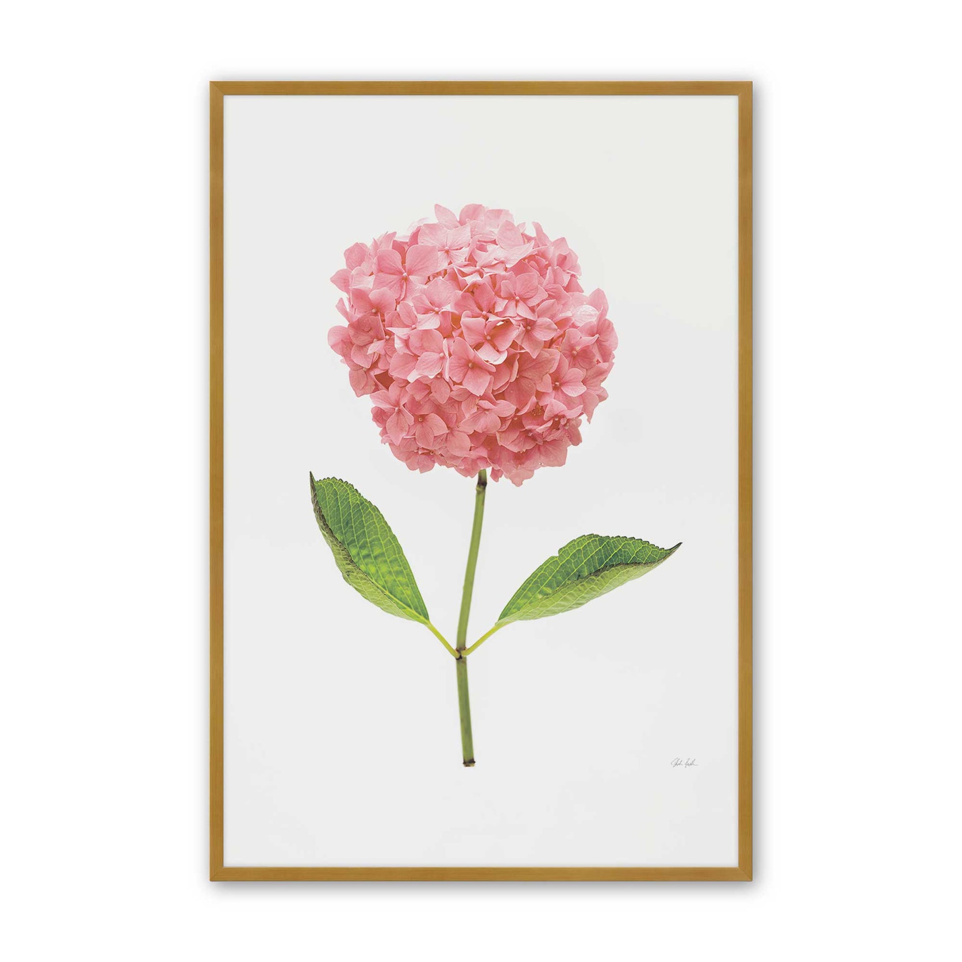 [Color:Polished Gold], Picture of art in a Polished Gold frame