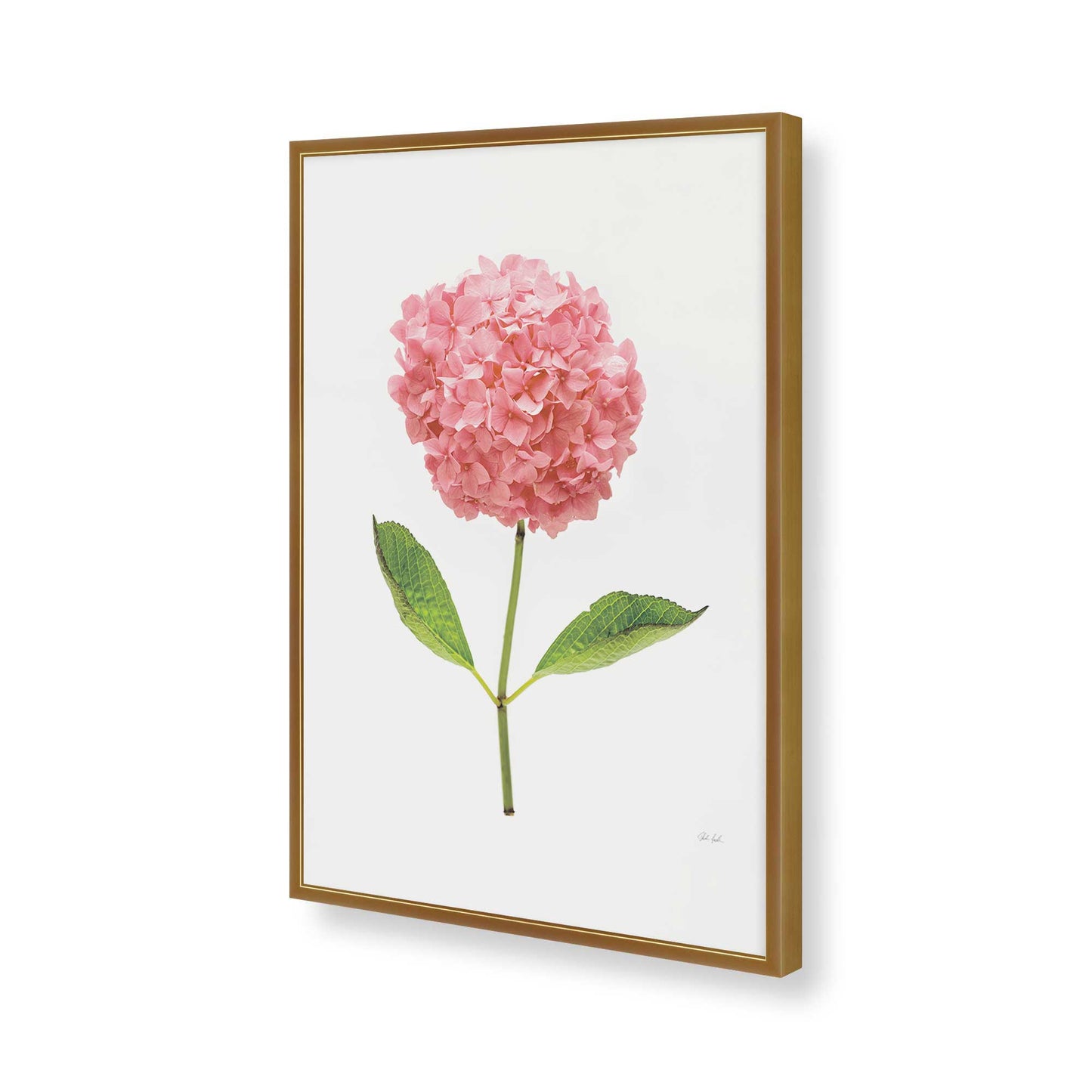 [Color:Polished Gold], Picture of art in a Polished Gold frame of the corner