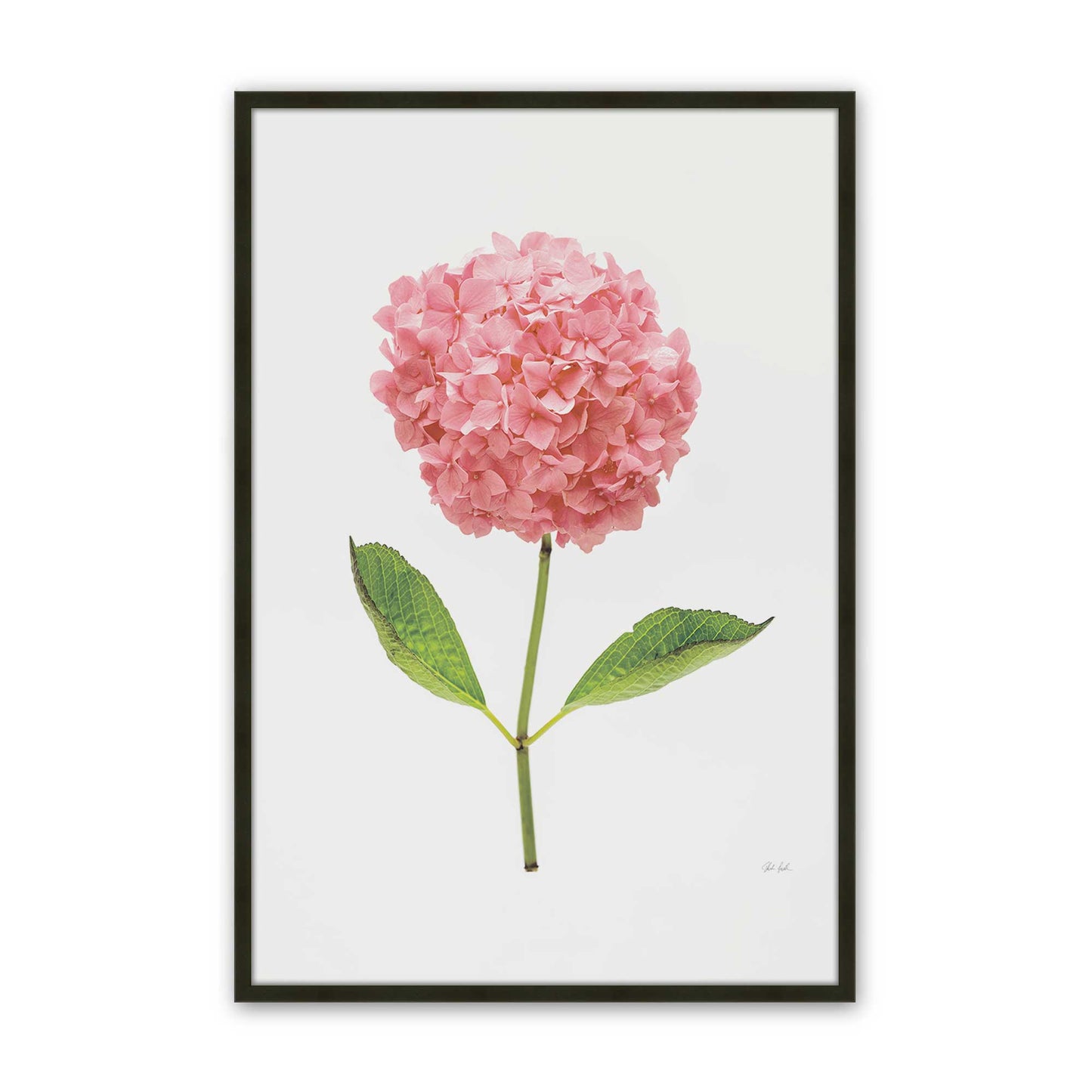 [Color:Satin Black], Picture of art in a Satin Black frame