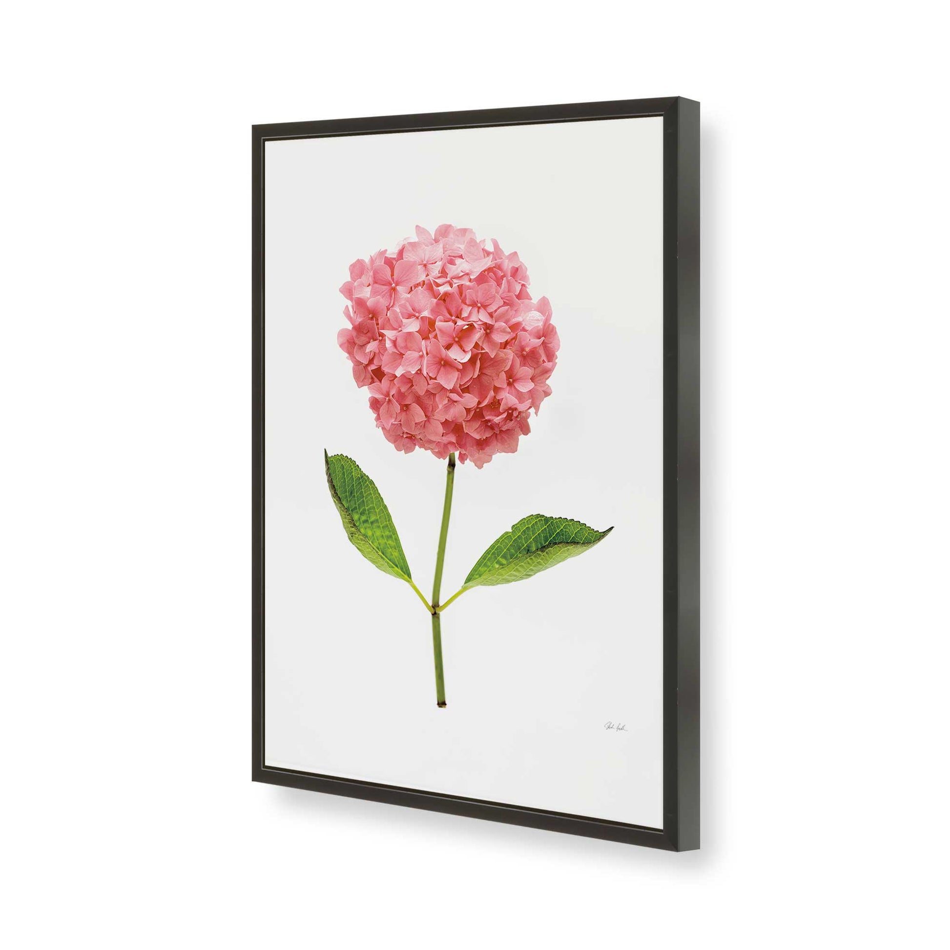 [Color:Satin Black], Picture of art in a Satin Black frame of the corner
