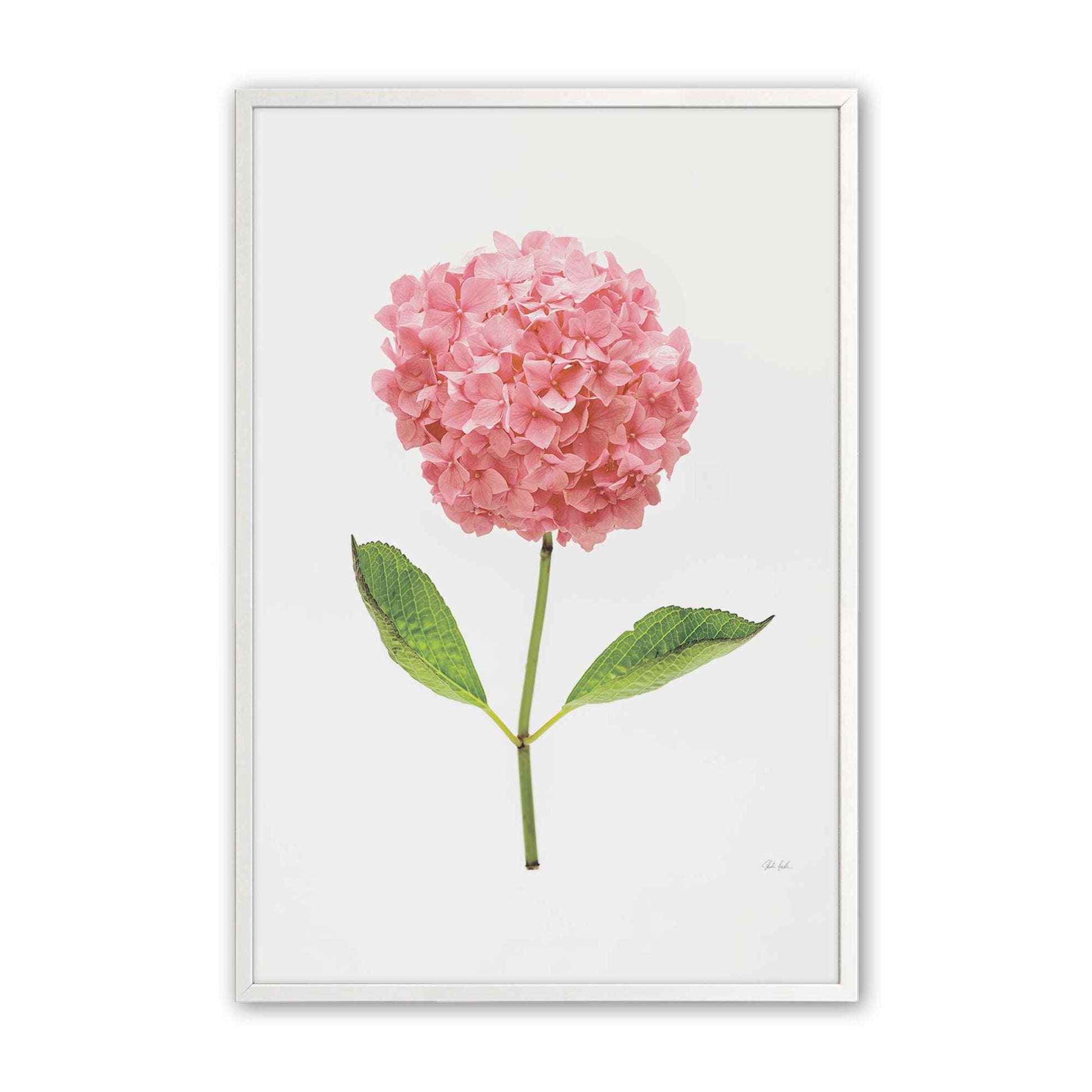 [Color:Opaque White], Picture of art in a Opaque White frame