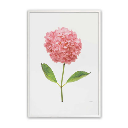 [Color:Opaque White], Picture of art in a Opaque White frame