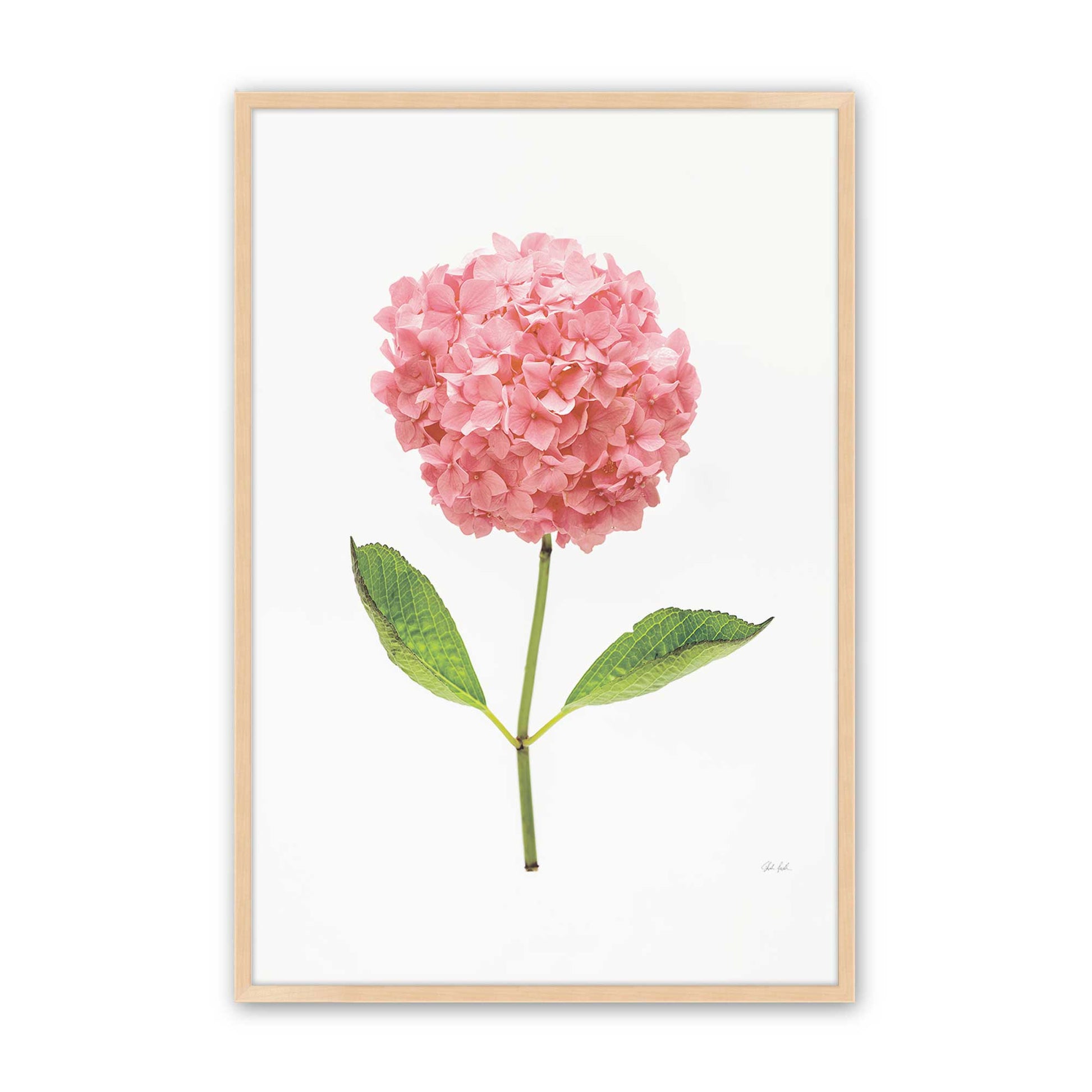 [Color:Raw Maple], Picture of art in a Raw Maple frame