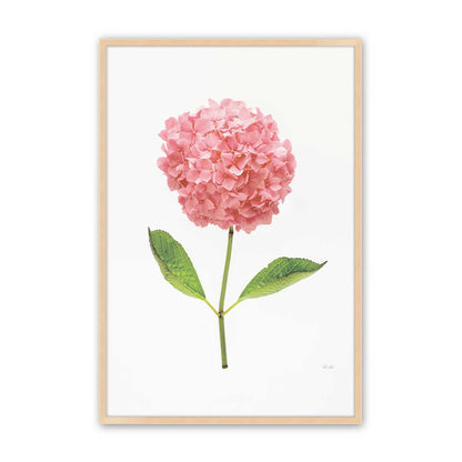 [Color:Raw Maple], Picture of art in a Raw Maple frame