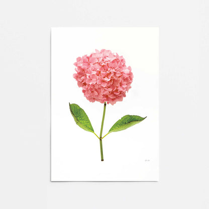[Color:Rolled Print], Picture of close up of art