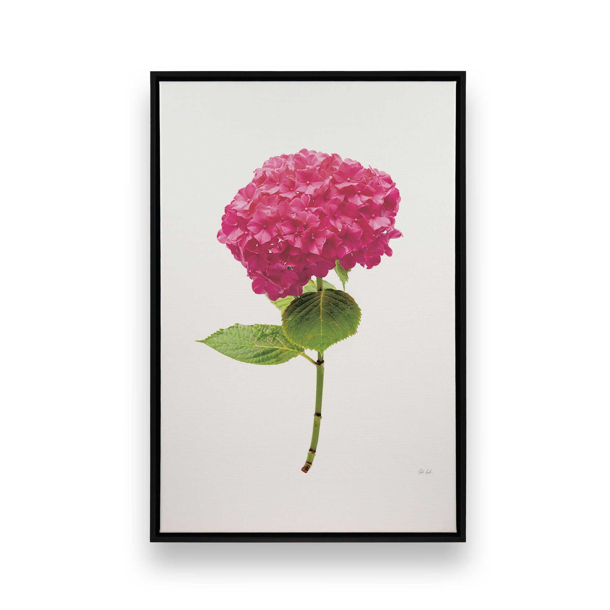 [Color:Satin Black], Picture of art in a Satin Black frame