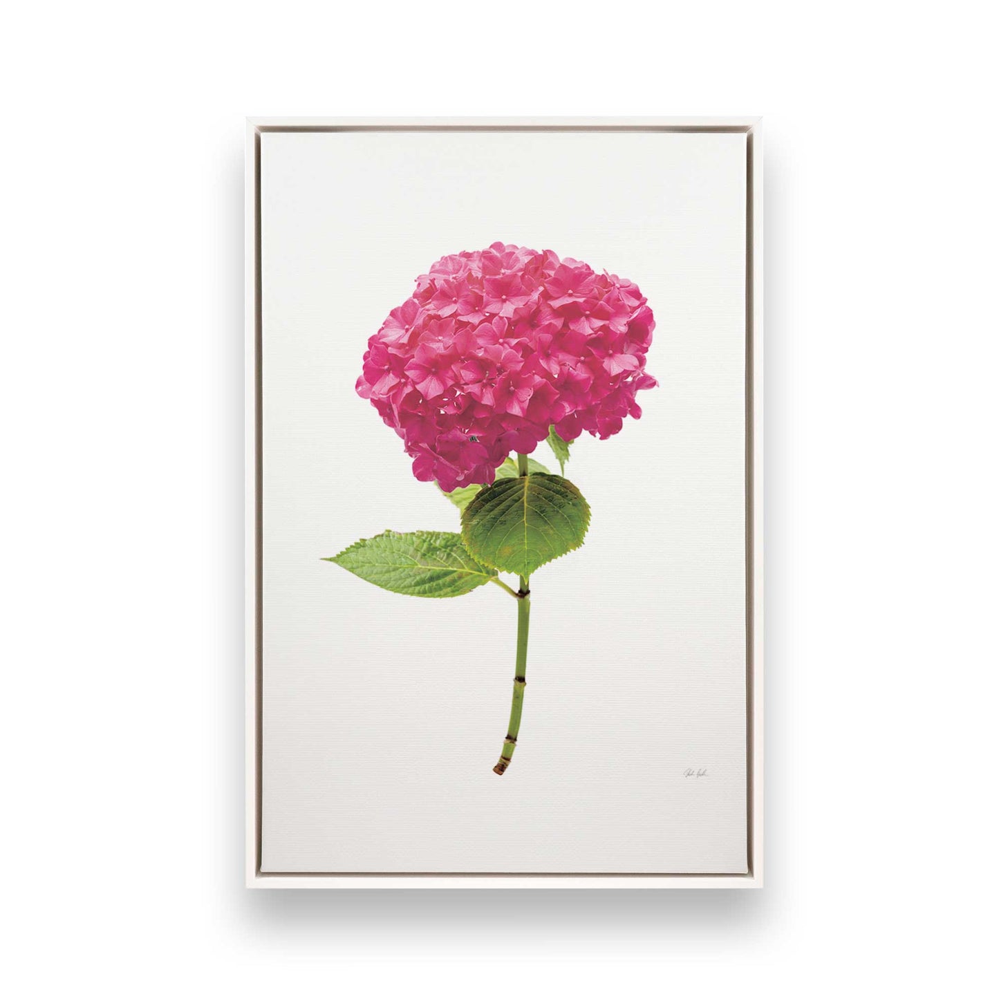 [Color:Opaque White], Picture of art in a White frame
