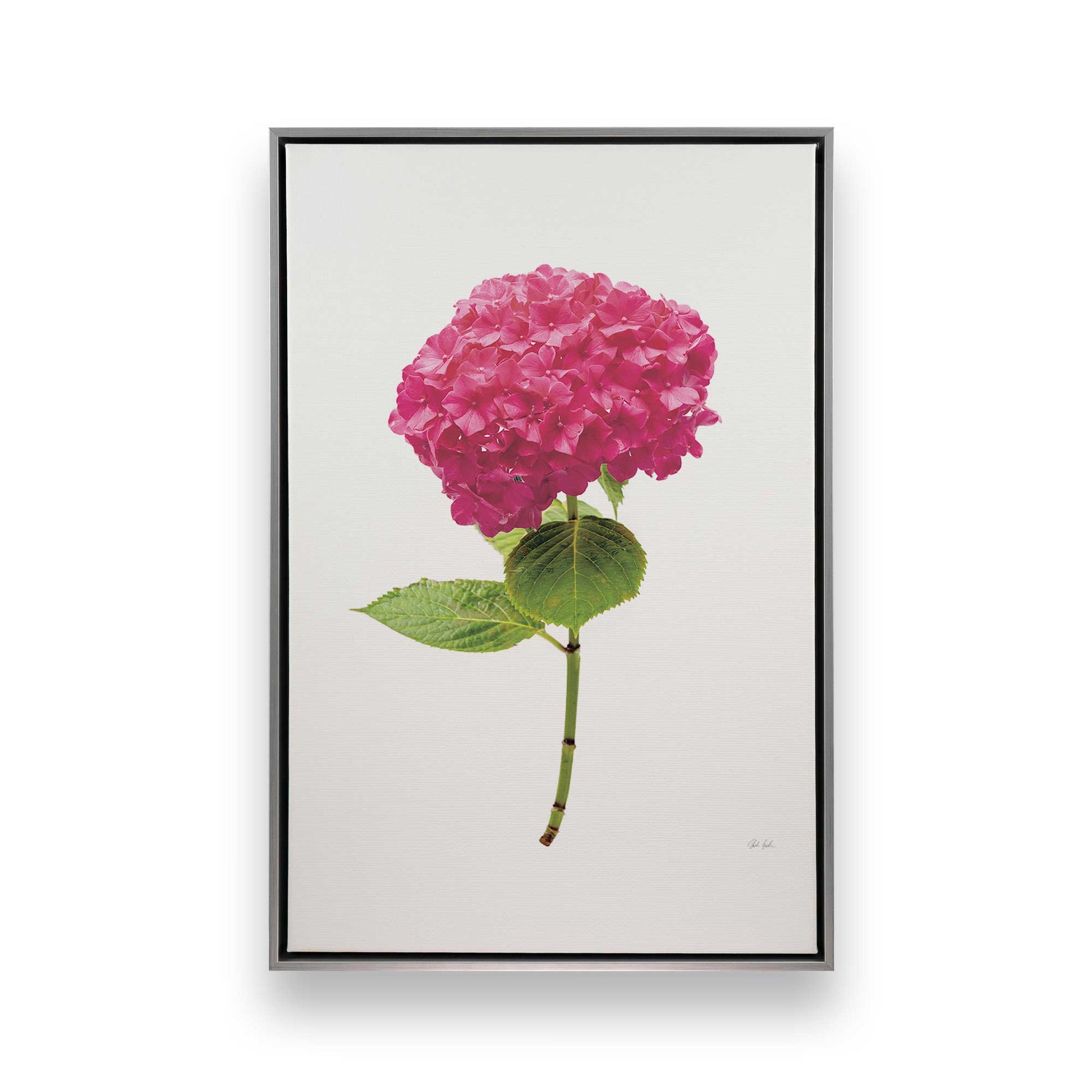[Color:Polished Chrome], Picture of art in a Polished Chrome frame