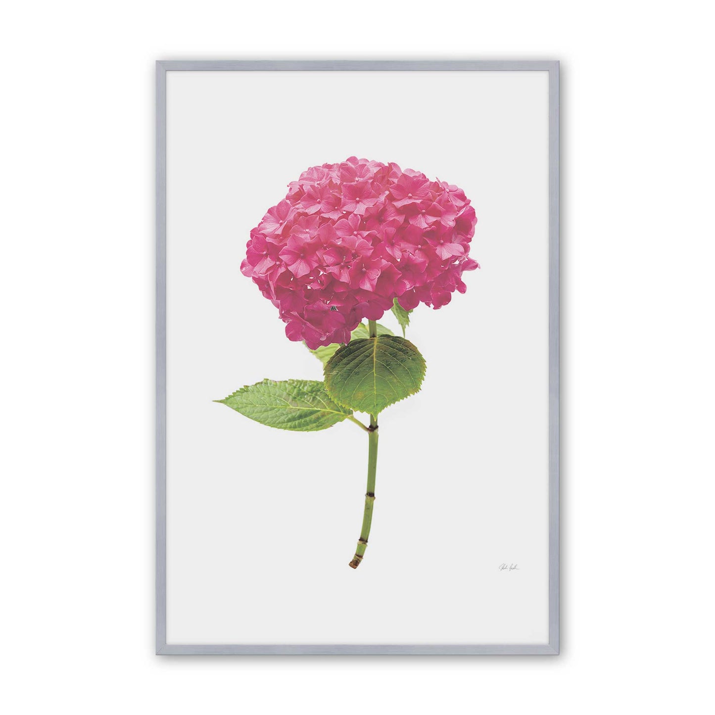 [Color:Polished Chrome], Picture of art in a Polished Chrome frame