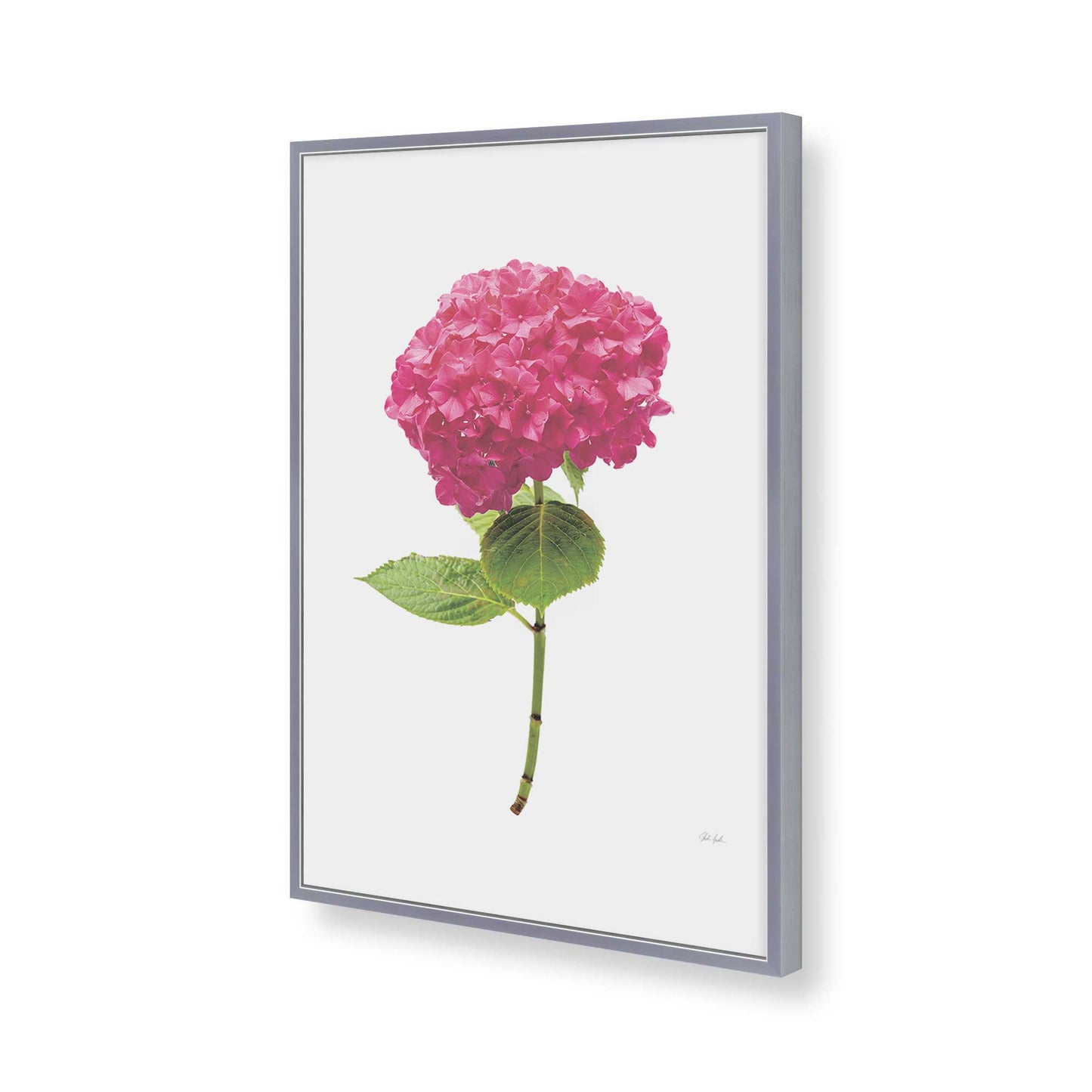 [Color:Polished Chrome], Picture of art in a Polished Chrome frame of the corner