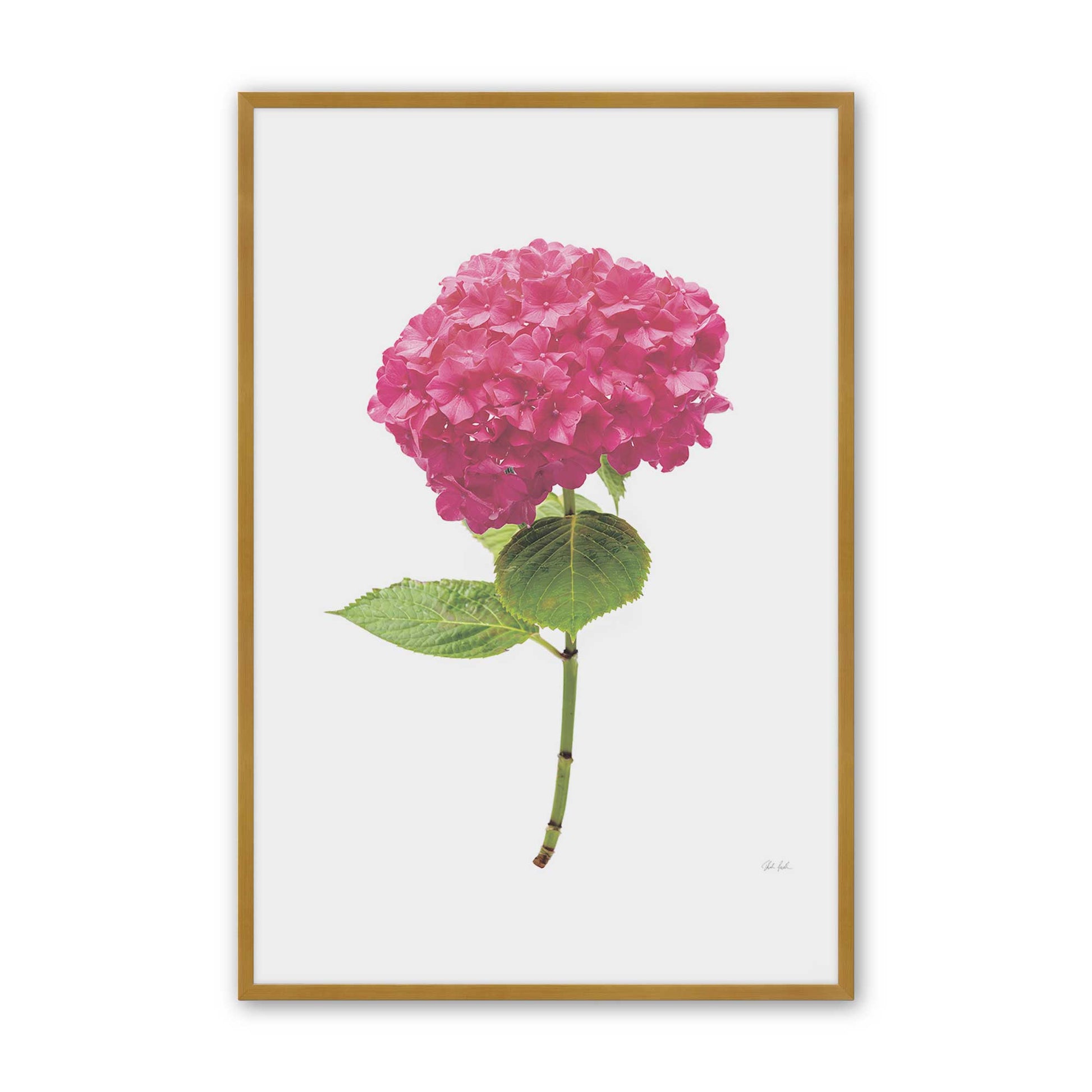 [Color:Polished Gold], Picture of art in a Polished Gold frame