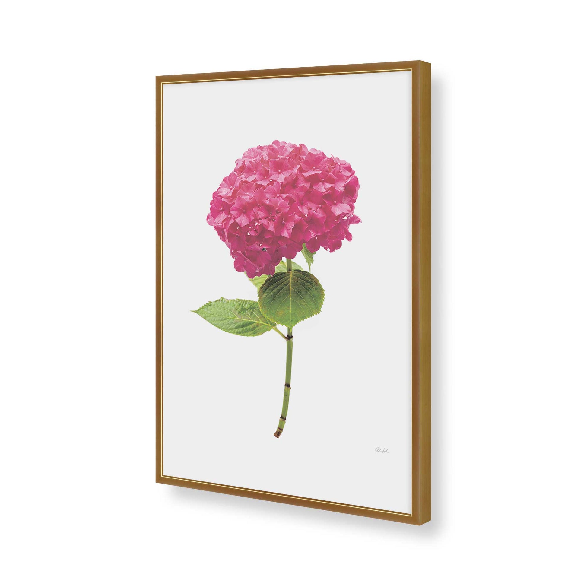 [Color:Polished Gold], Picture of art in a Polished Gold frame of the corner