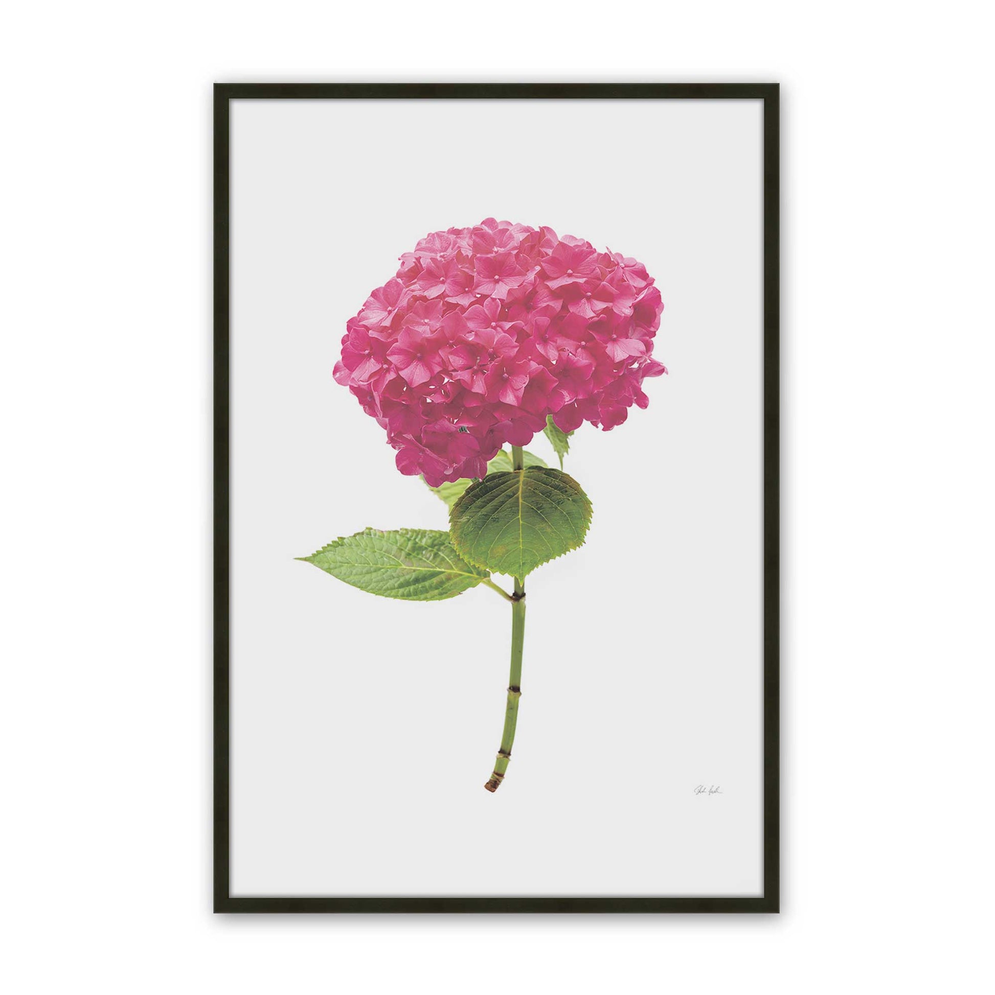 [Color:Satin Black], Picture of art in a Satin Black frame