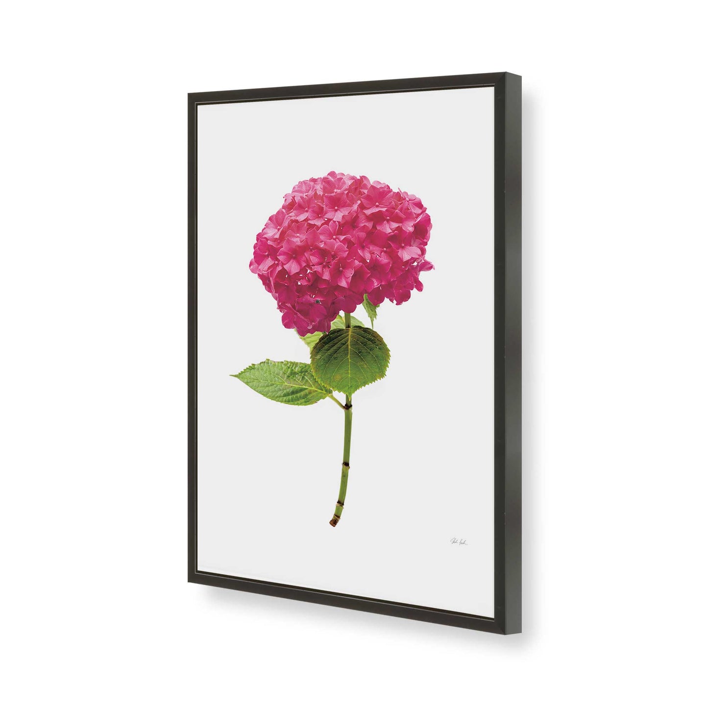 [Color:Satin Black], Picture of art in a Satin Black frame of the corner
