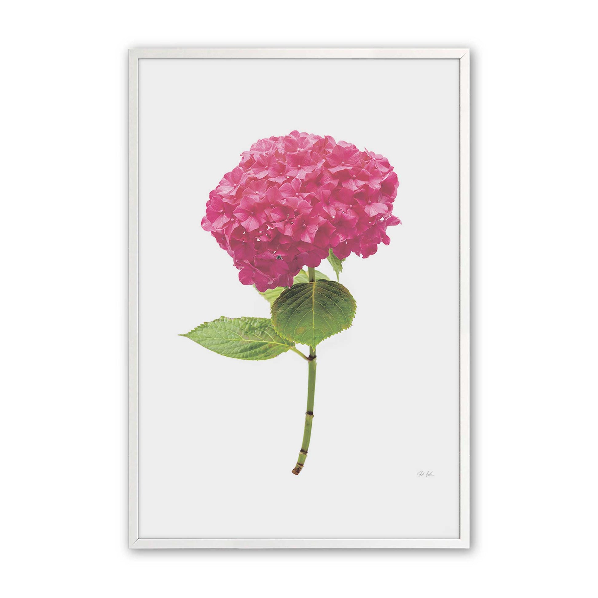 [Color:Opaque White], Picture of art in a Opaque White frame