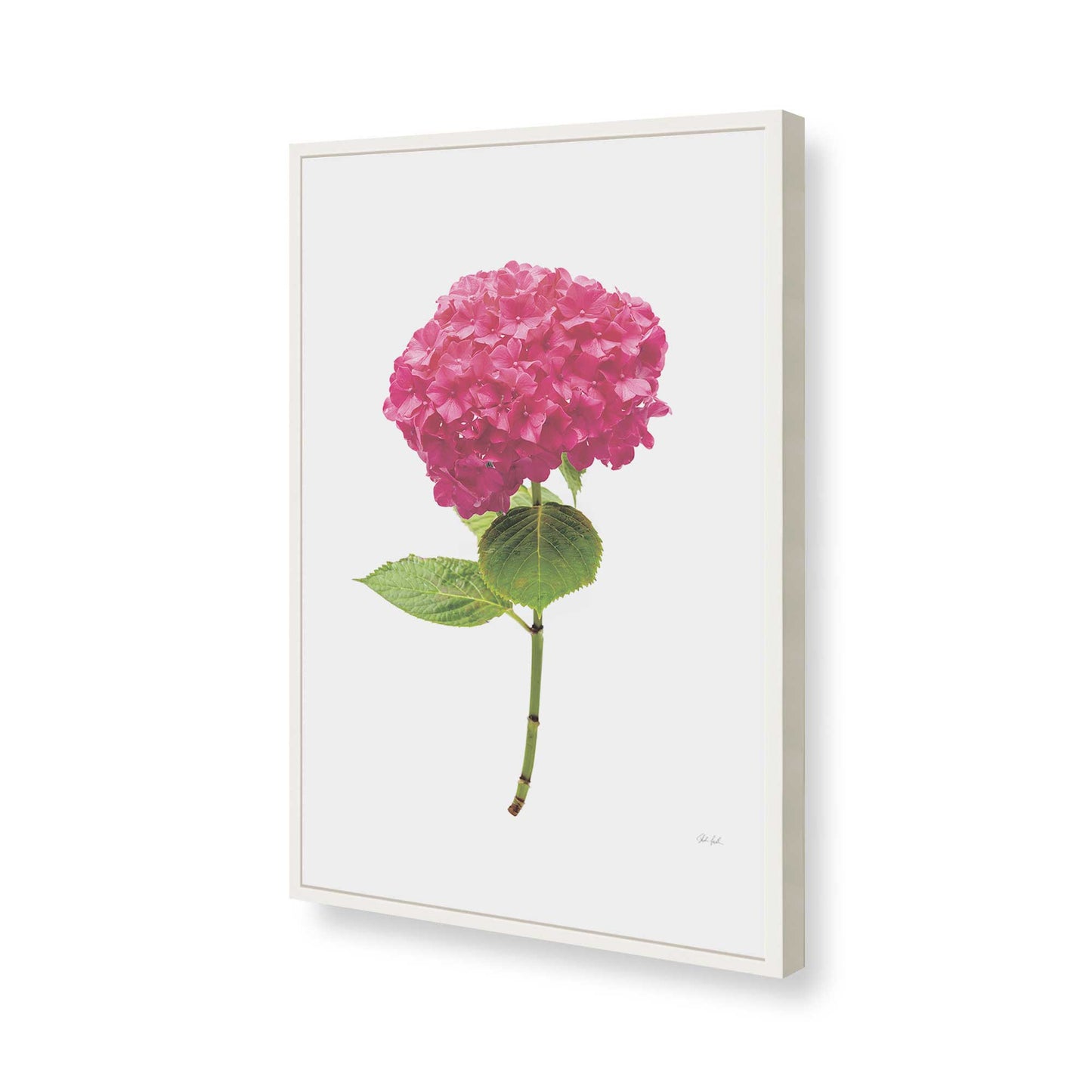 [Color:Opaque White], Picture of art in a Opaque White frame of the corner