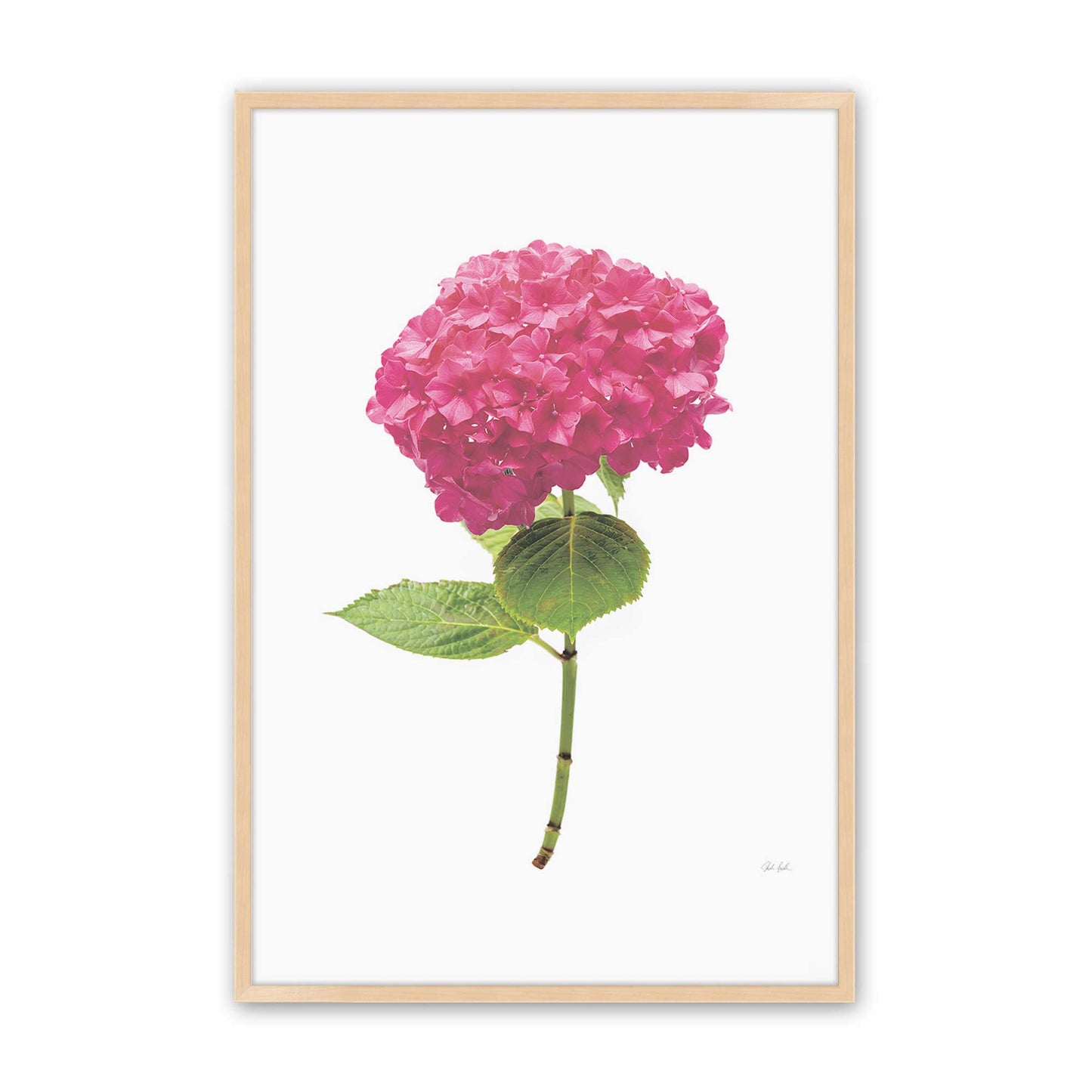 [Color:Raw Maple], Picture of art in a Raw Maple frame