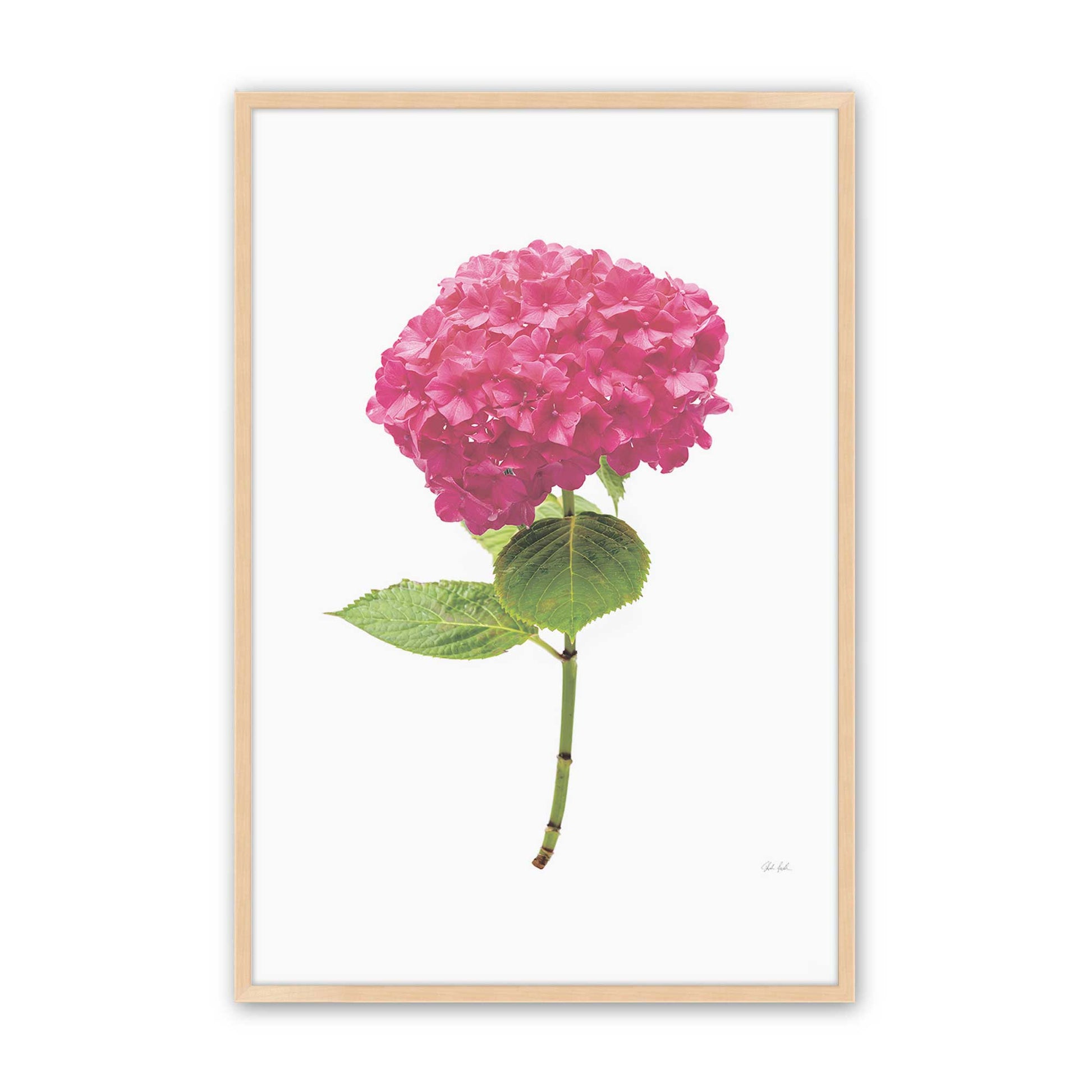 [Color:Raw Maple], Picture of art in a Raw Maple frame