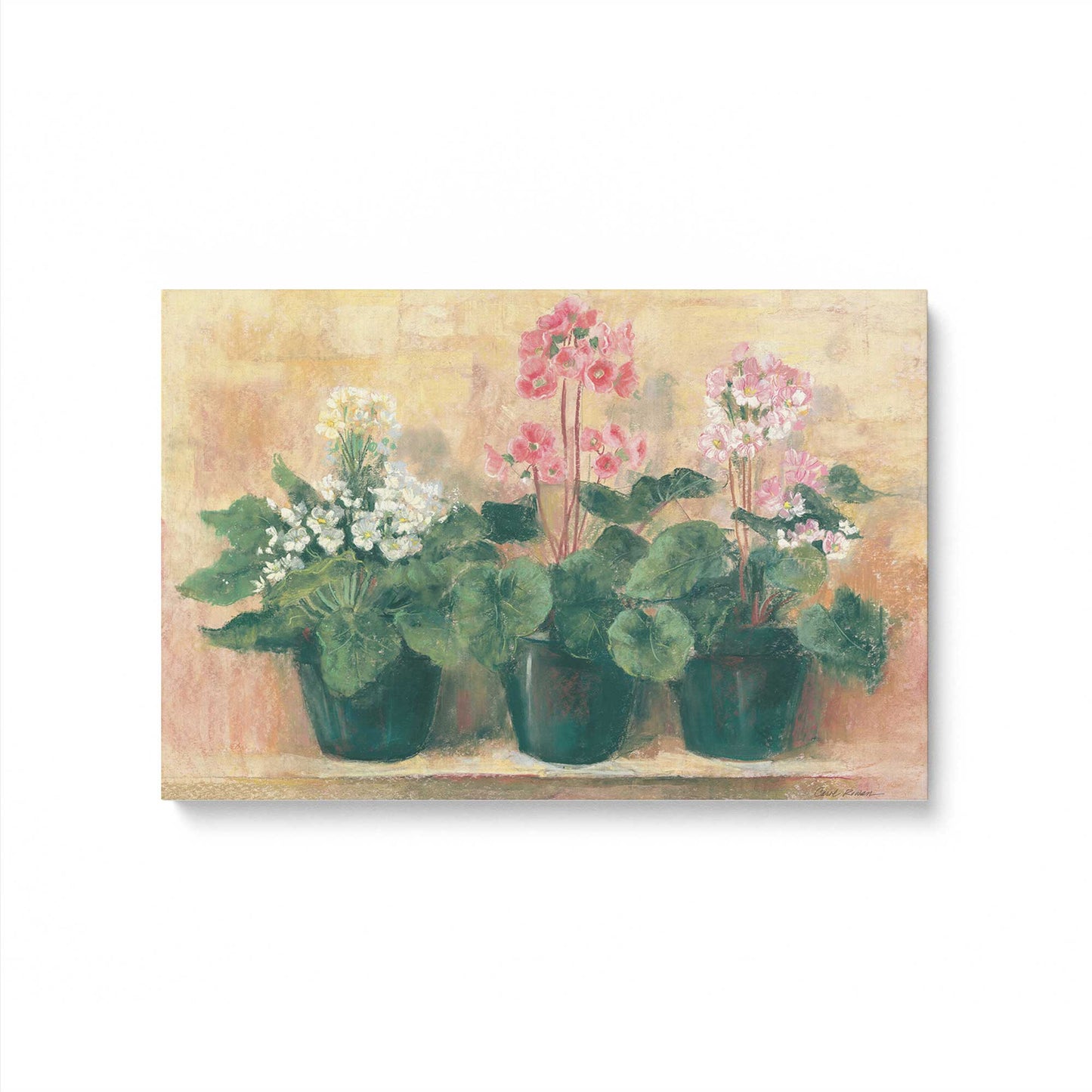 [Color:Stretched Canvas], Picture of art
