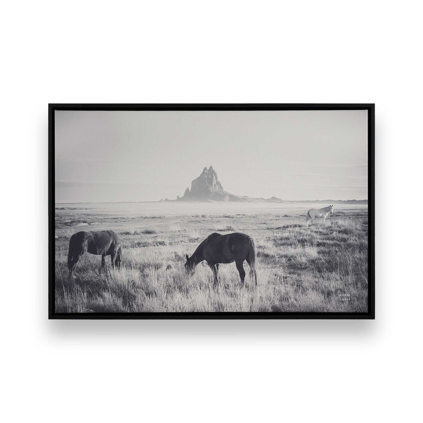 [Color:Satin Black], Picture of art in a Satin Black frame