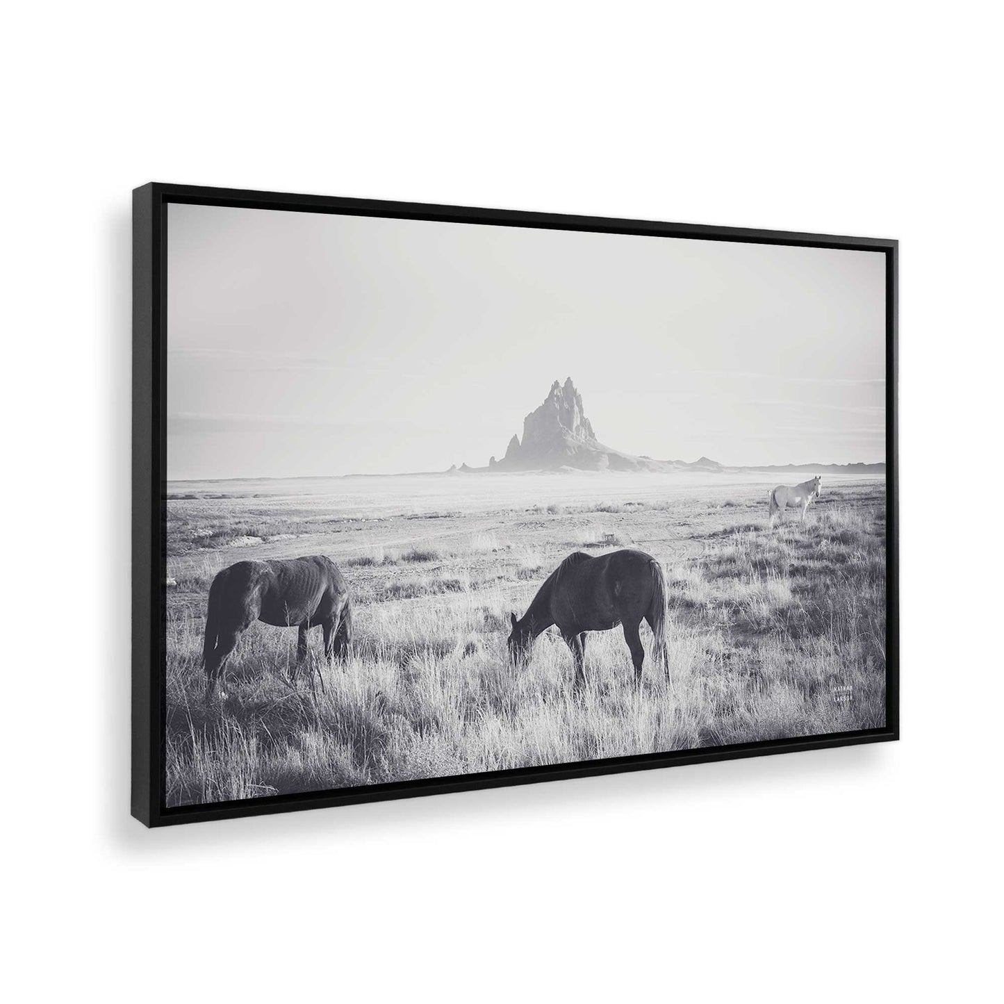 [Color:Satin Black], Picture of the corner of the art