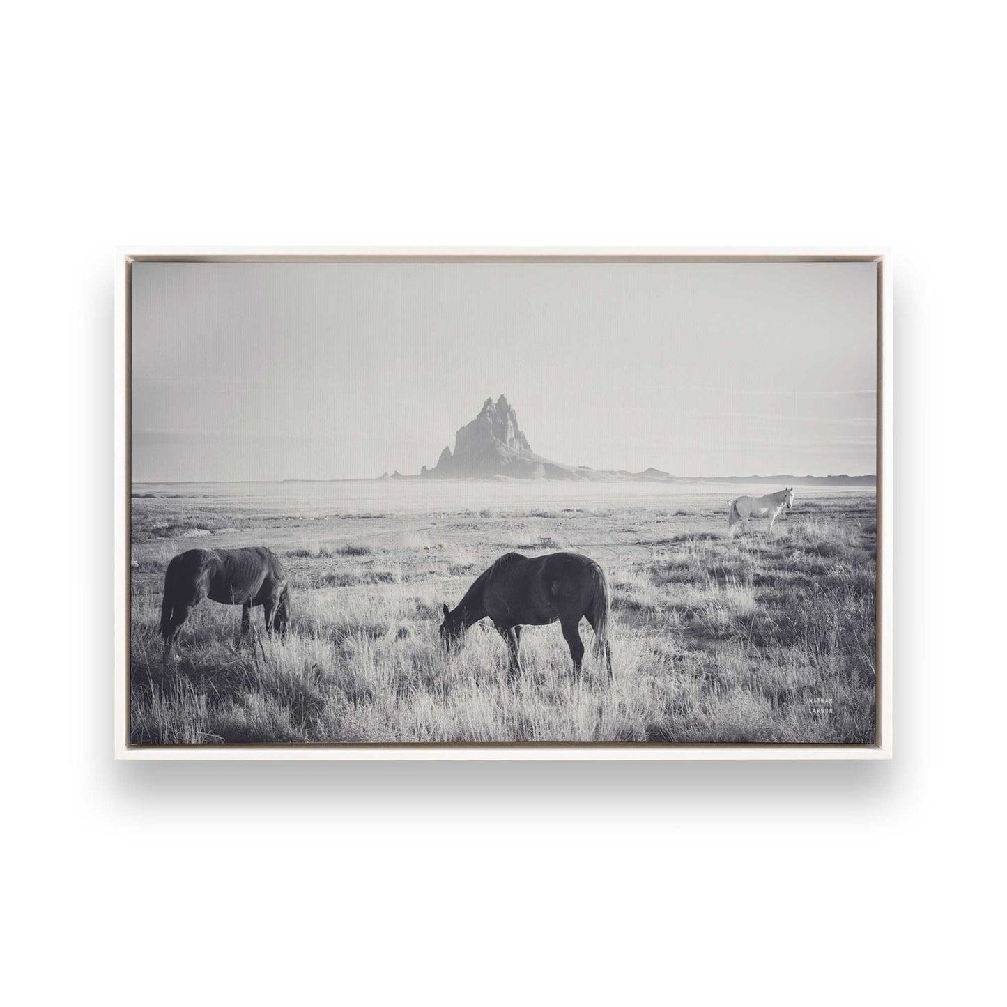 [Color:Opaque White], Picture of art in a White frame