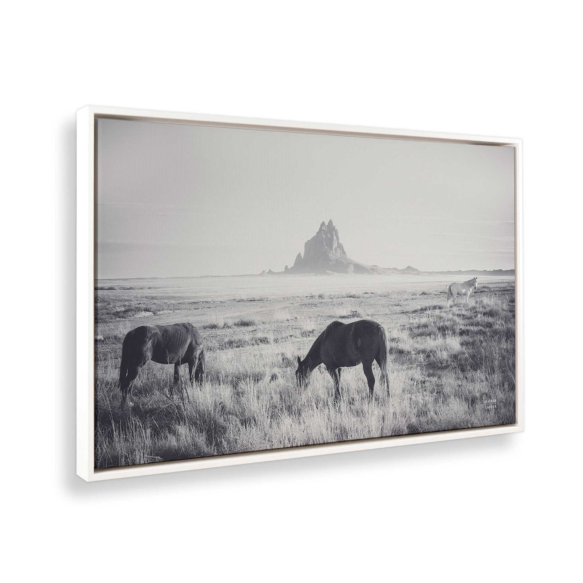 [Color:Opaque White], Picture of the corner of the art