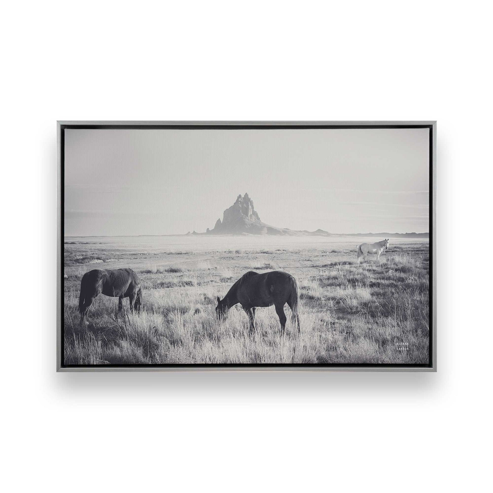 [Color:Polished Chrome], Picture of art in a Polished Chrome frame