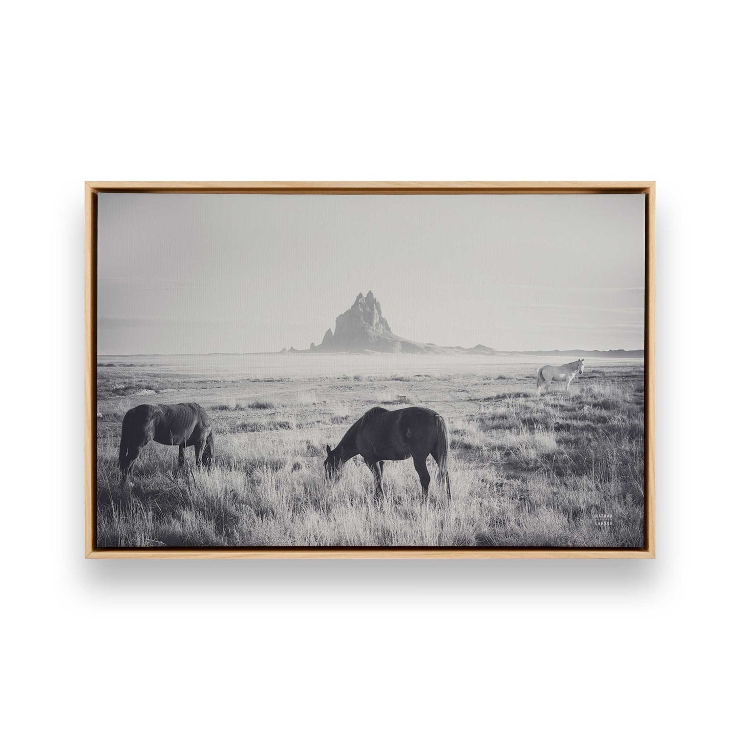 [Color:American Maple], Picture of art in a American Maple frame