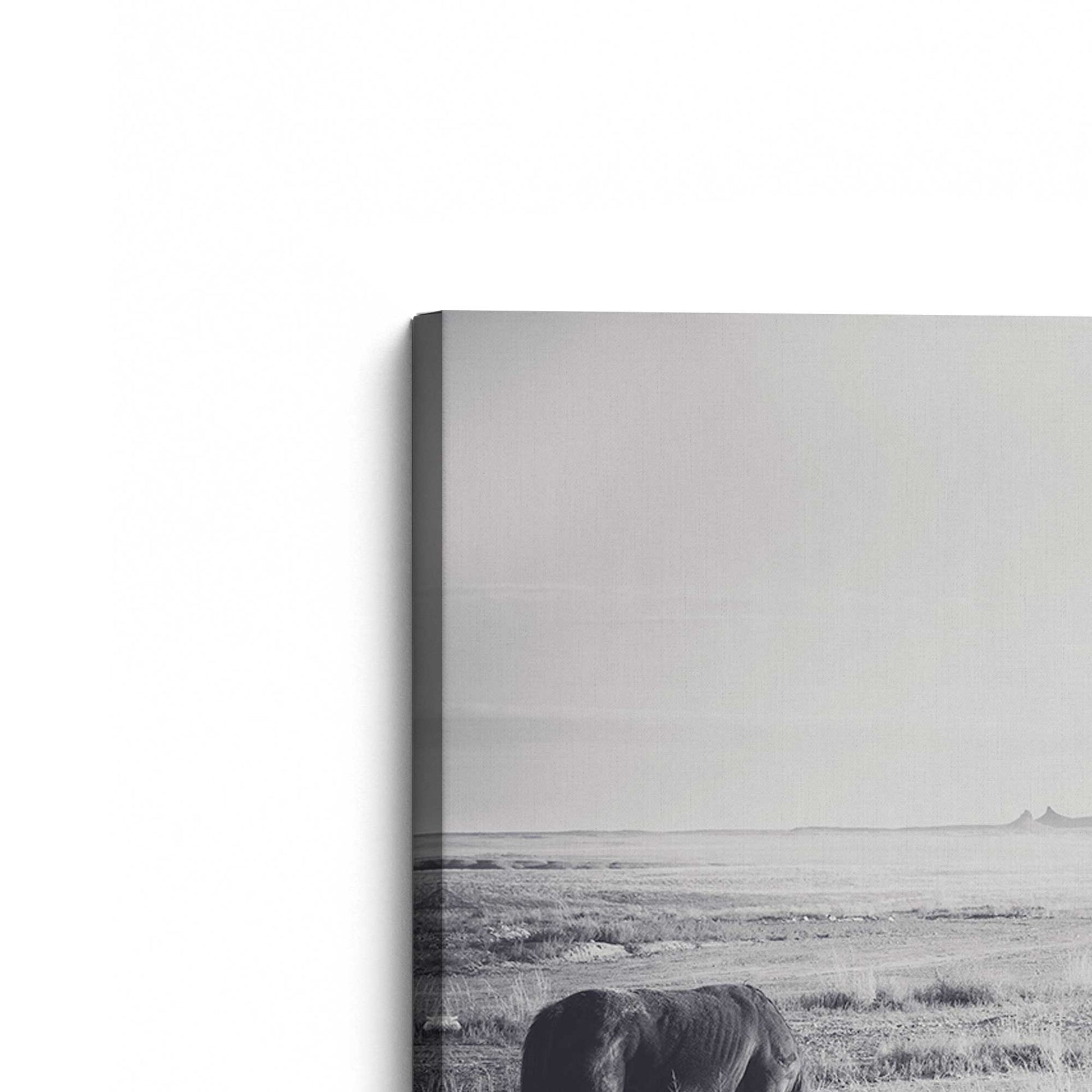 [Color:Stretched Canvas], Picture of the corner of the art