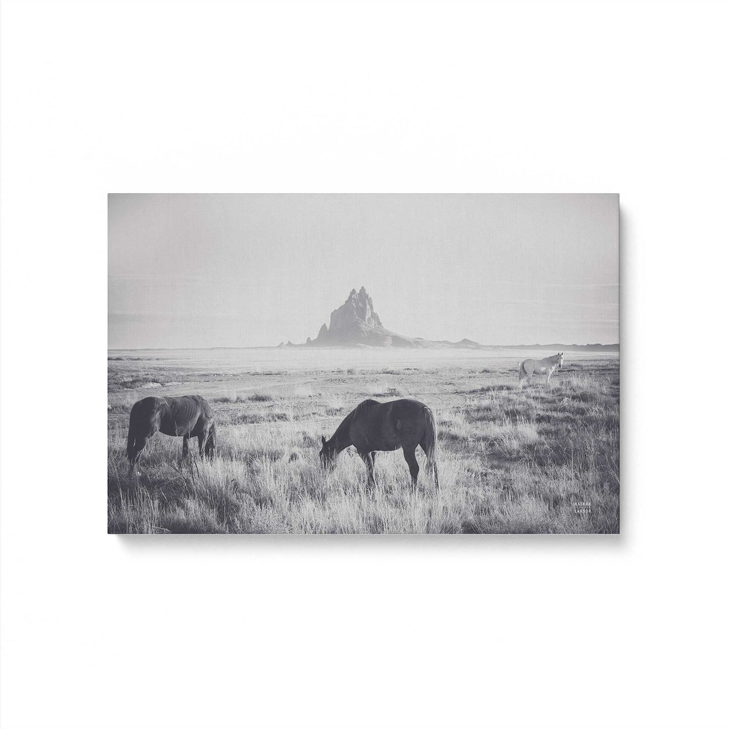[Color:Stretched Canvas], Picture of art