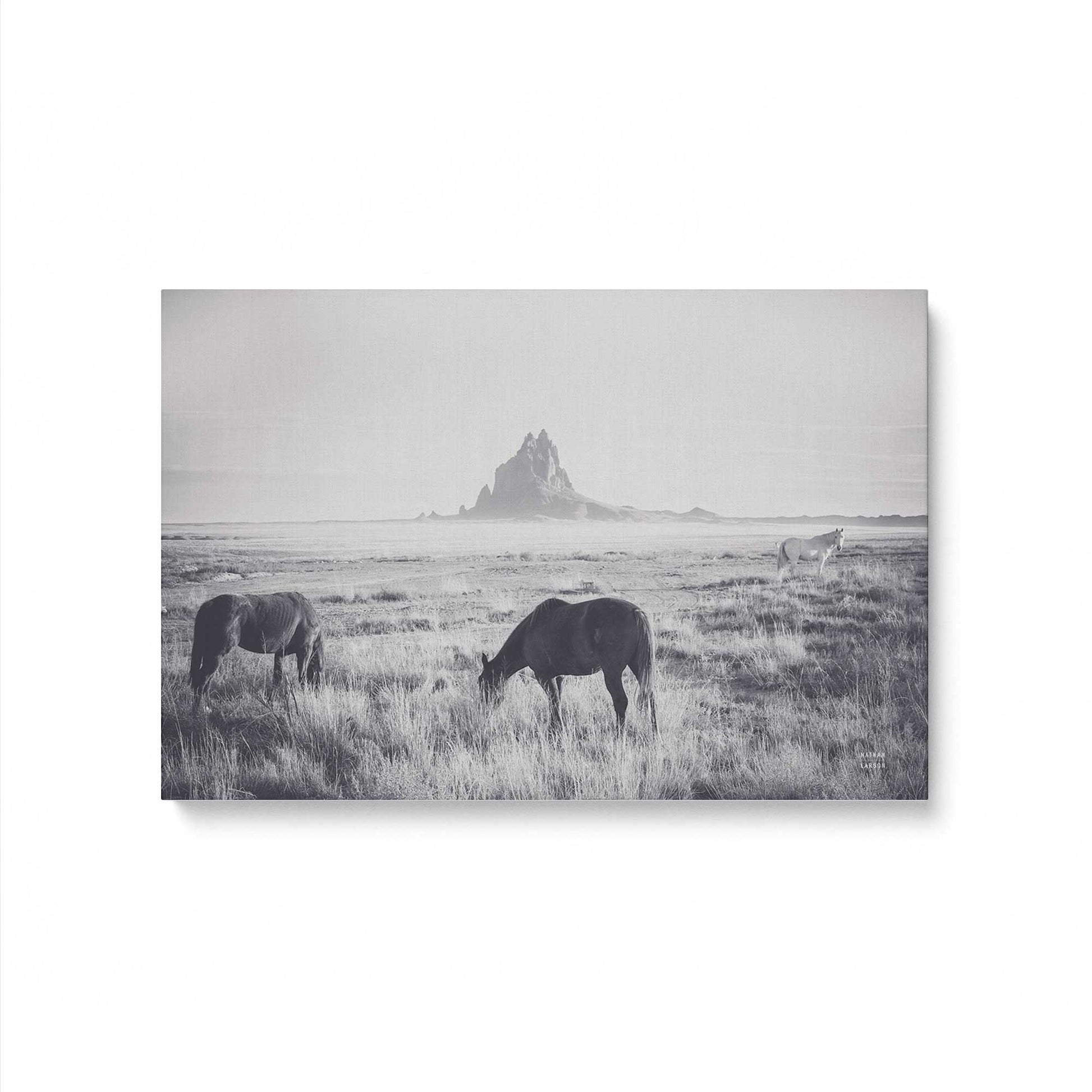 [Color:Stretched Canvas], Picture of art