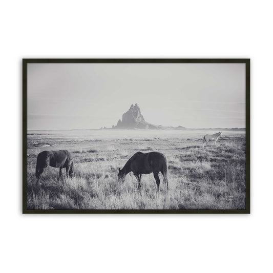 [Color:Satin Black], Front of the art