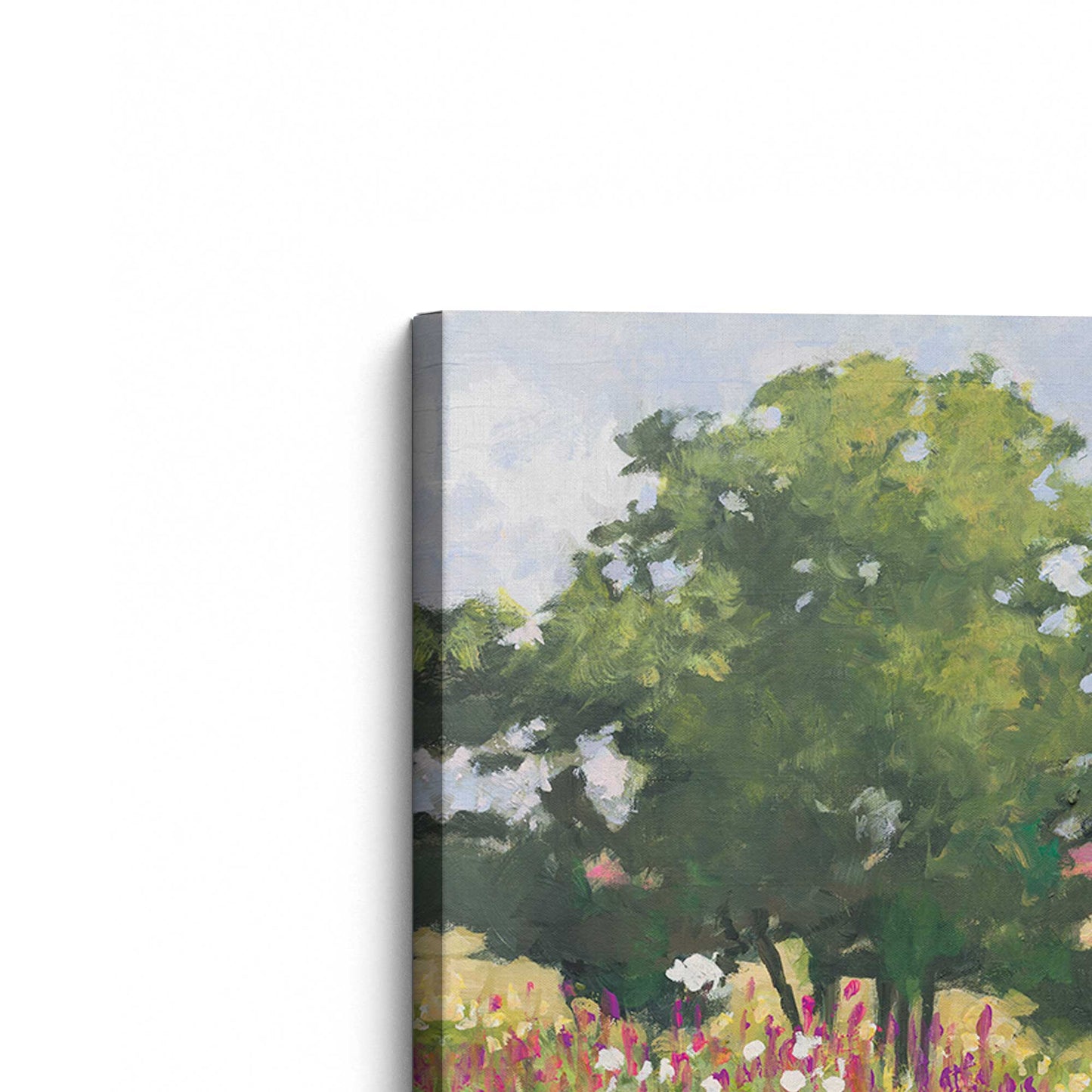 [Color:Stretched Canvas], Picture of the corner of the art