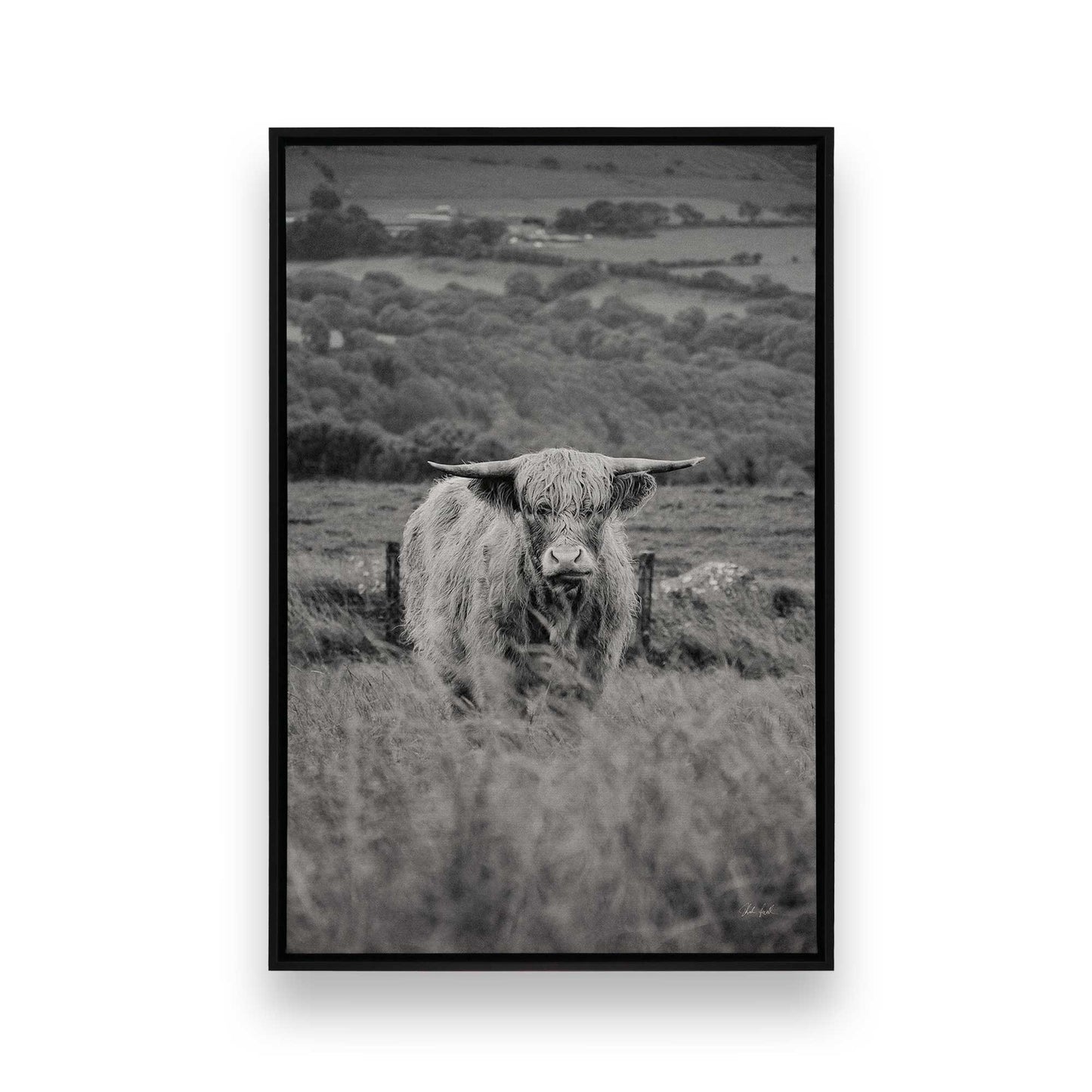 [Color:Satin Black], Picture of art in a Satin Black frame