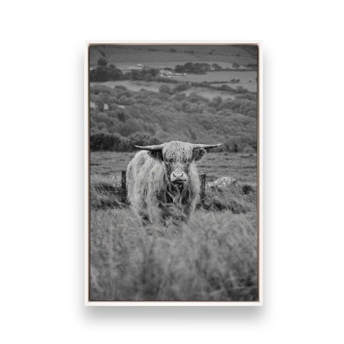 [Color:Opaque White], Picture of art in a White frame