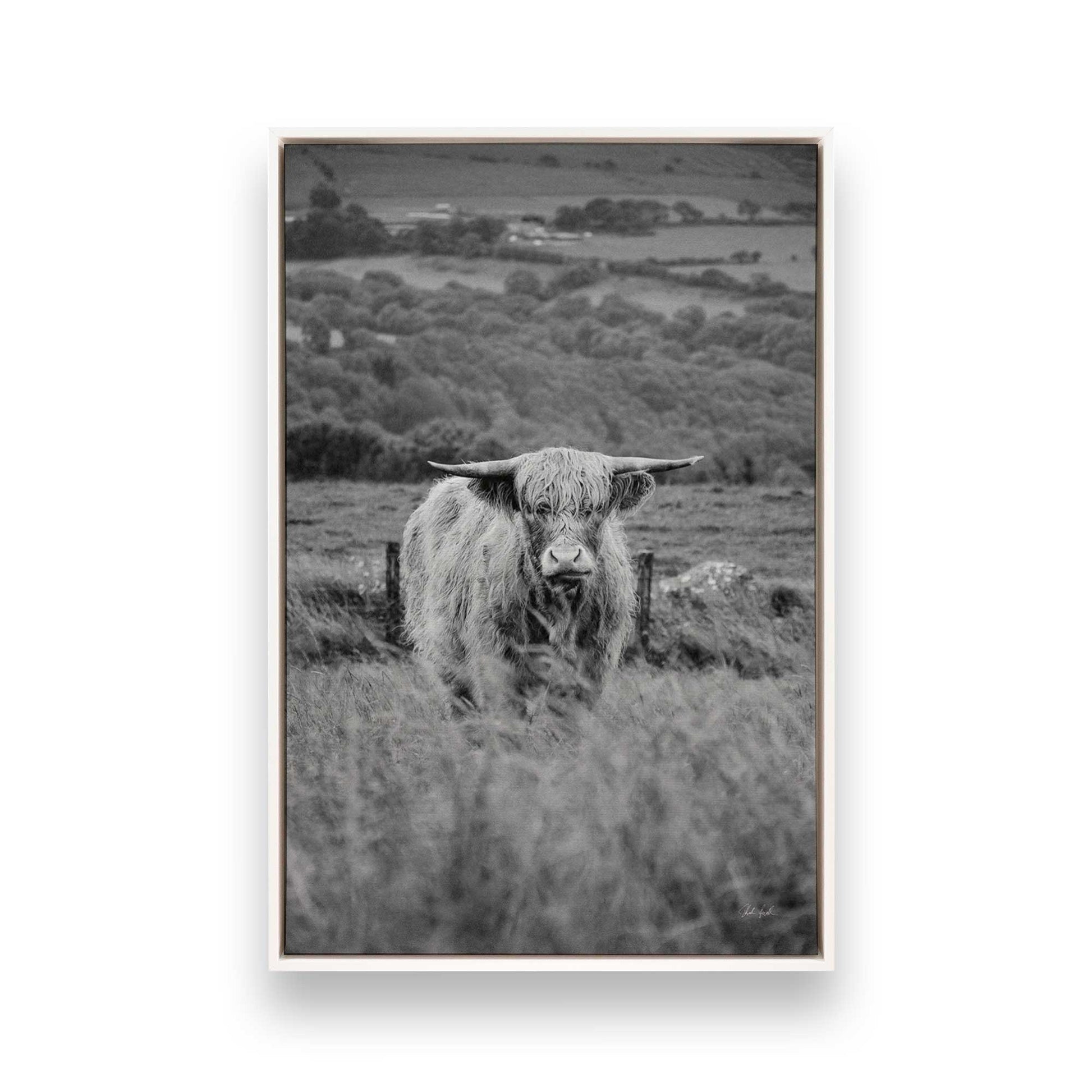 [Color:Opaque White], Picture of art in a White frame